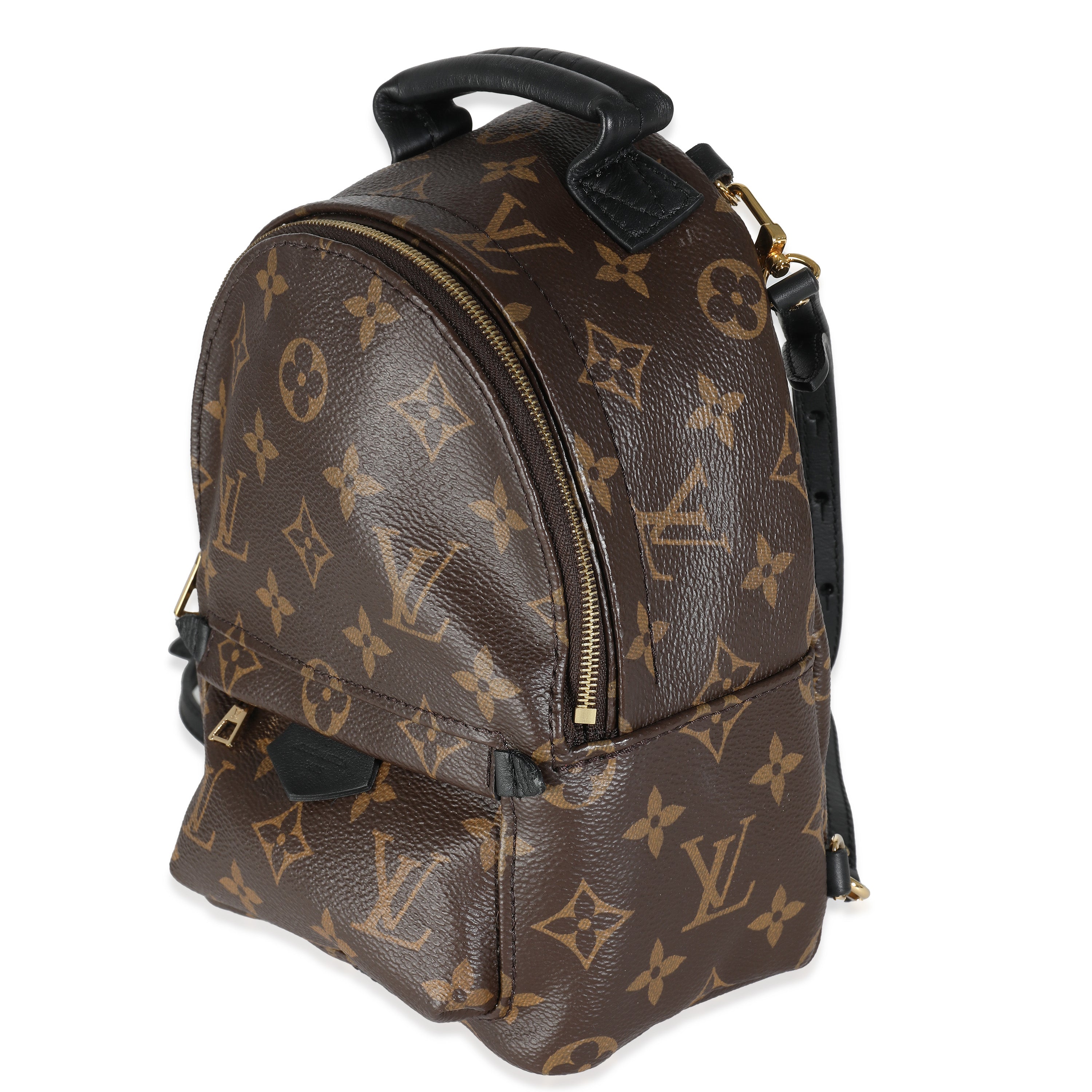 Louis Vuitton Monogram Canvas Mini Palm Springs
