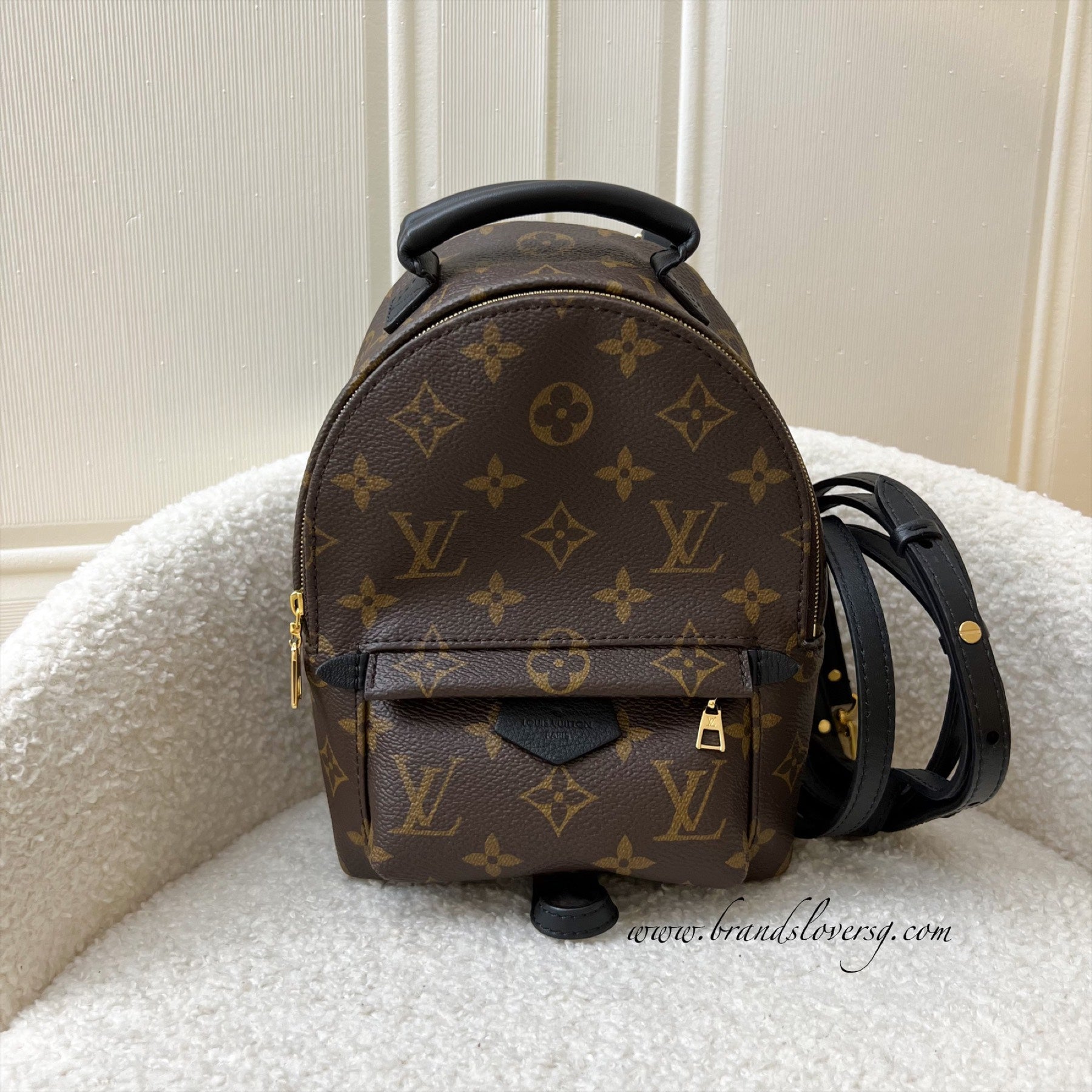 LV Palm Springs Mini Backpack in Monogram Canvas GHW