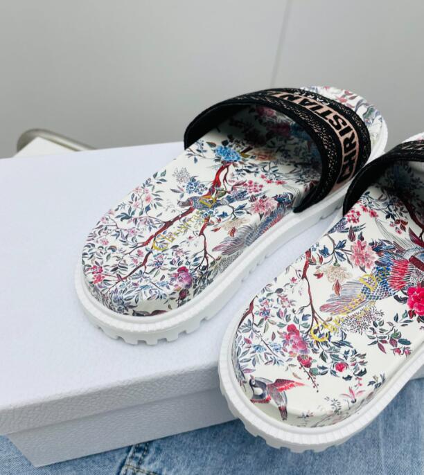 SAMCC - DOR Women Shoes - 454