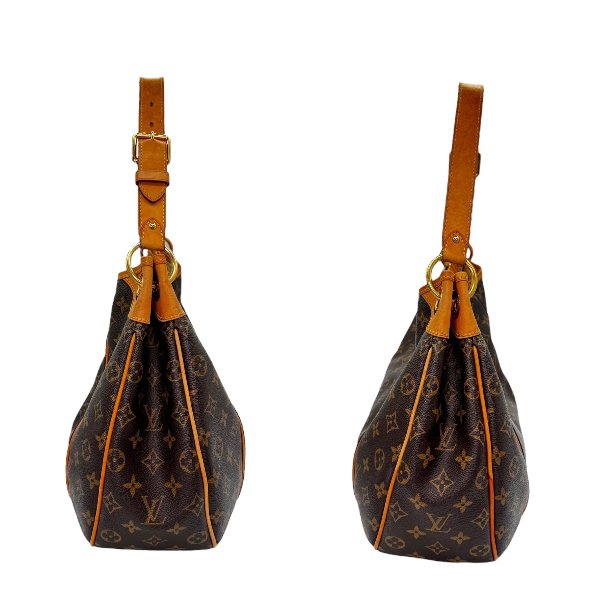 Louis Vuitton Monogram Canvas Galleria PM Hobo