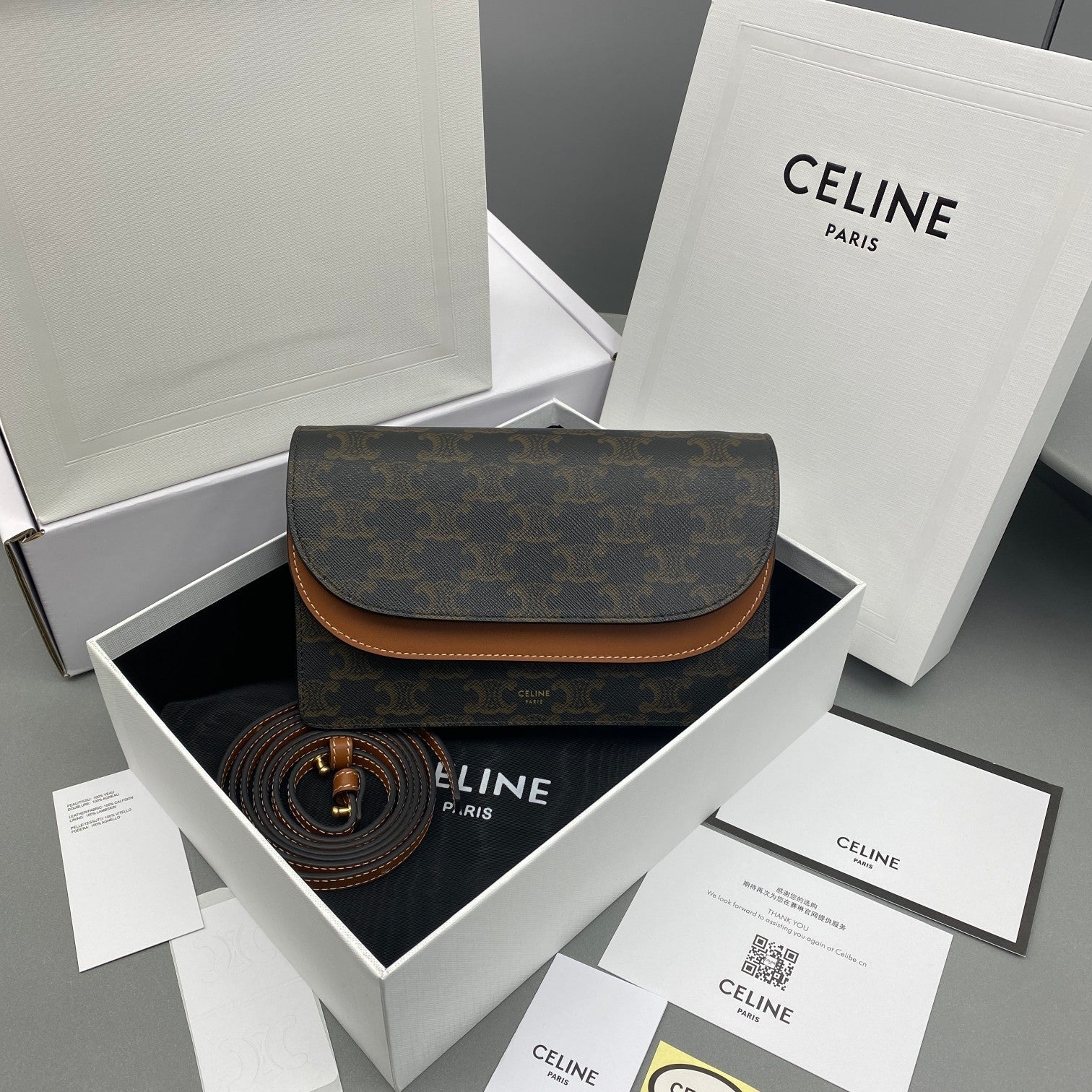 GLAMI Wallet On Strap In Triomphe Canvas Brown For Women 8in/20cm 10D852CG9.04LU
