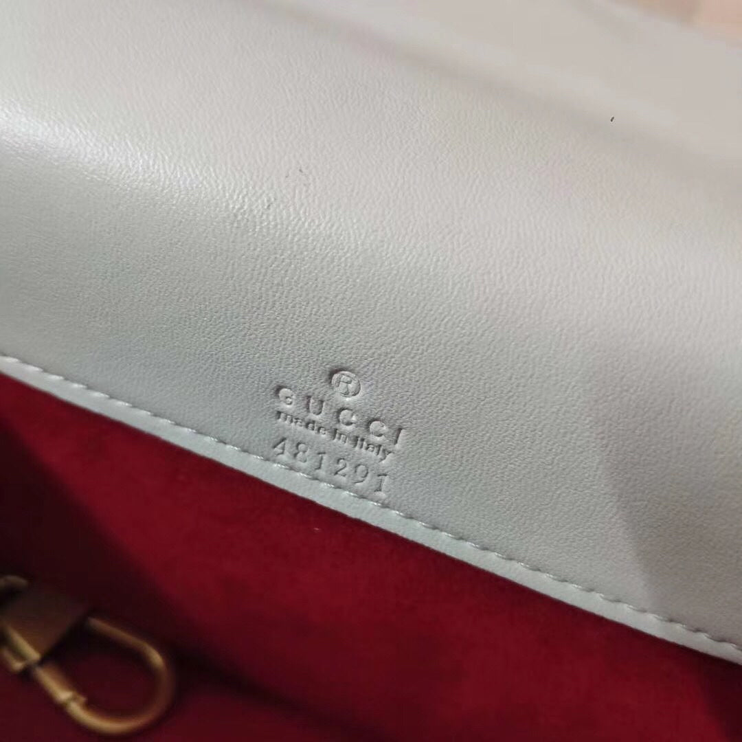 EN - New Bag GCI 495