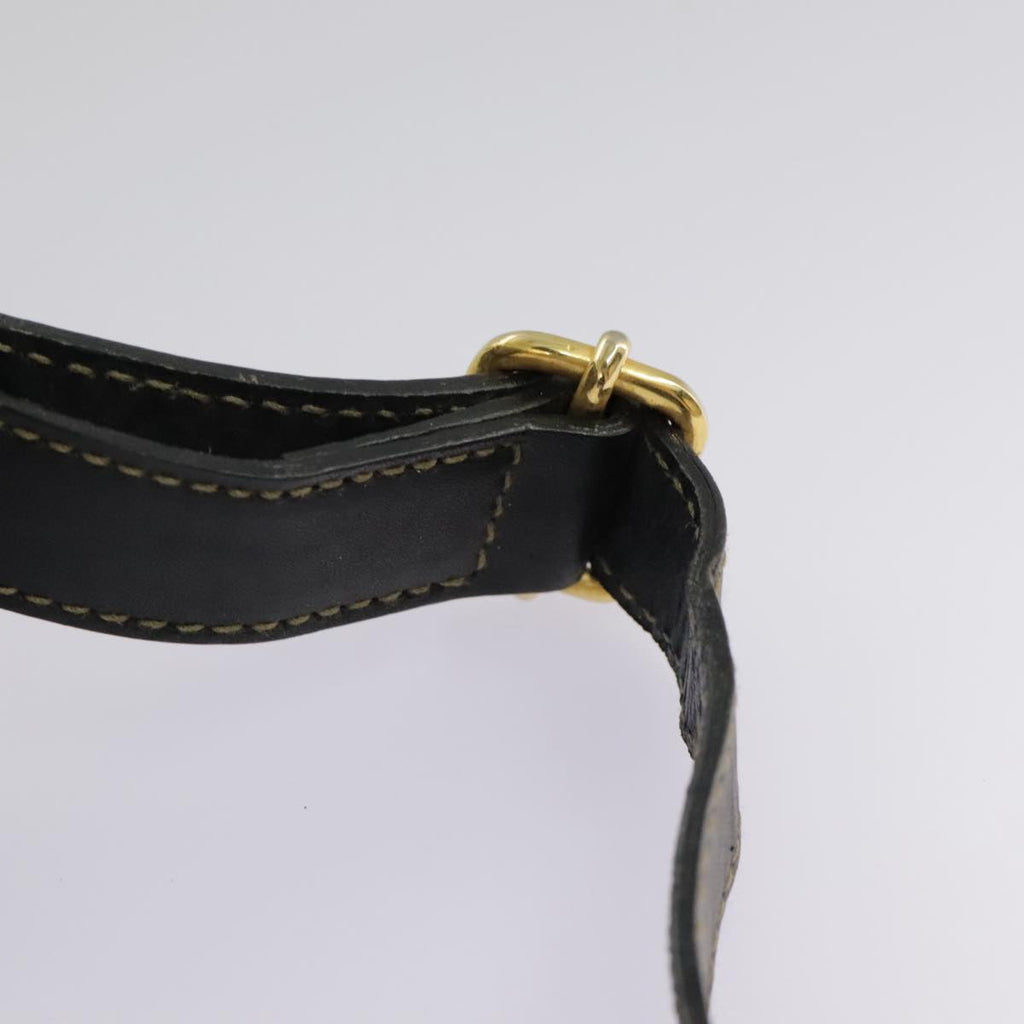 FENDI Pecan Canvas Backpack Brown Black gold ep6451