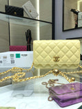 Chanel Bags