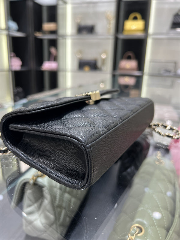 Glami- - CHL Bags - 097