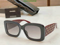 SAMC - CHL Glasses - 445