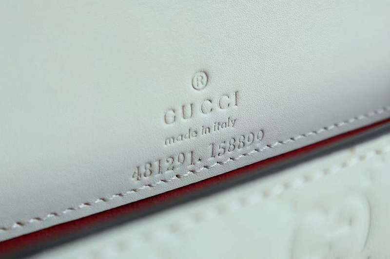 GUI2 Bags - Luxurious Bags  701