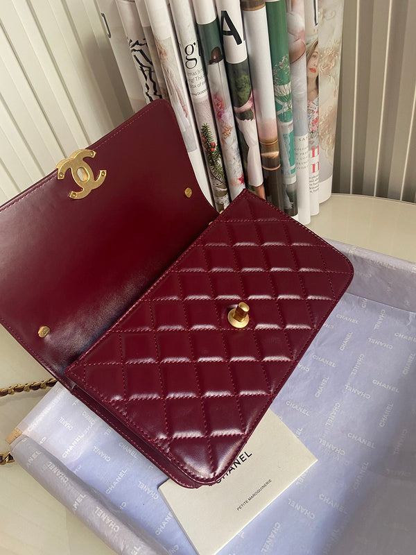 Satchel Bags - CLN Bags - 691