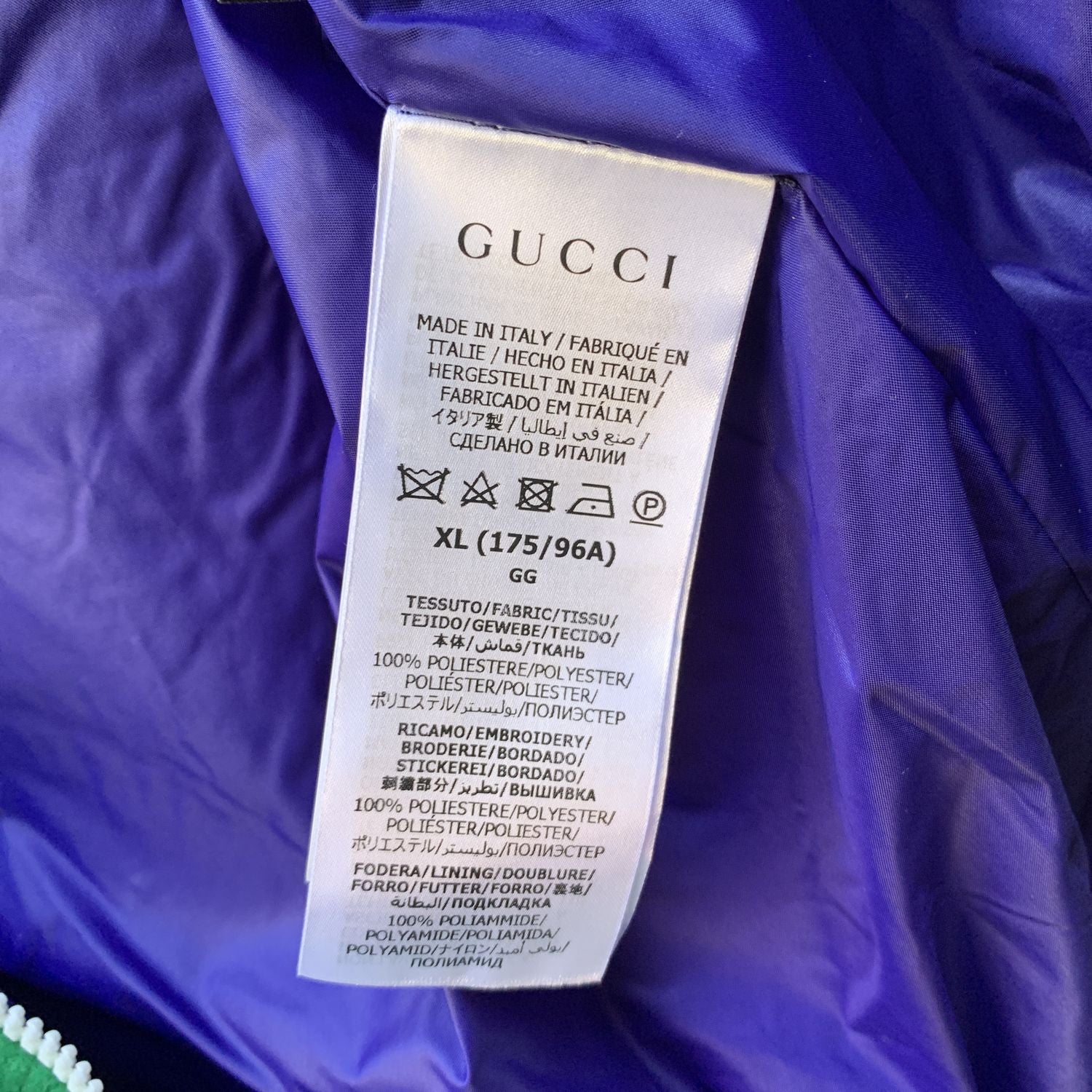 The North Face X Gucci Jacket