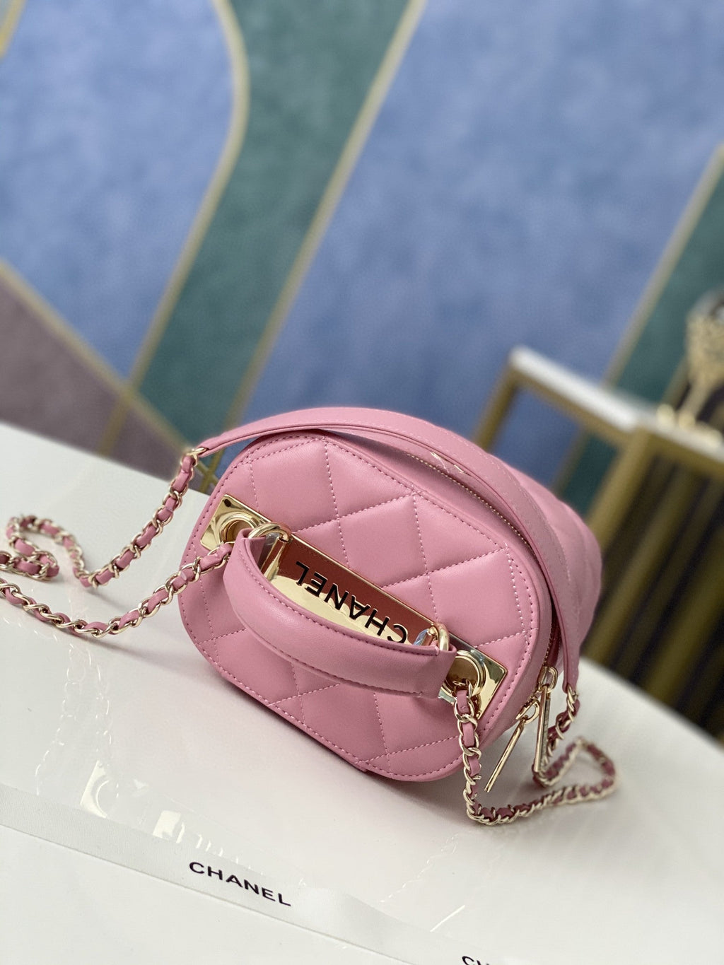 CHLVanity Case Gold Hardware PiNike For Women Handbags, Shoulder Bags 9.4in/24cm
