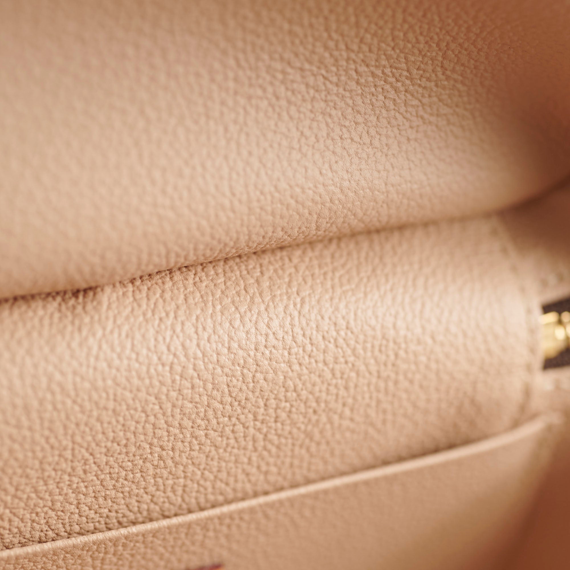 Louis Vuitton Nice Mini Monogram