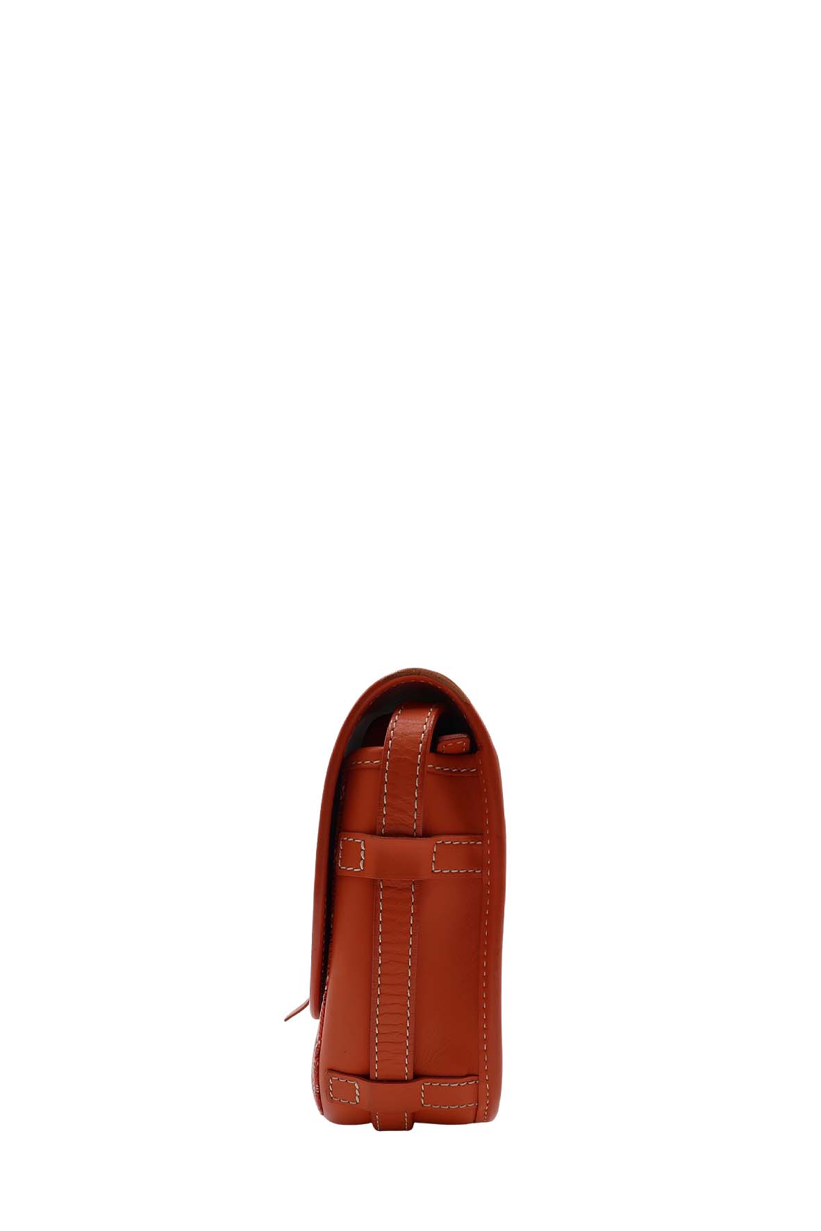 Goyardine Belvedere II PM Orange