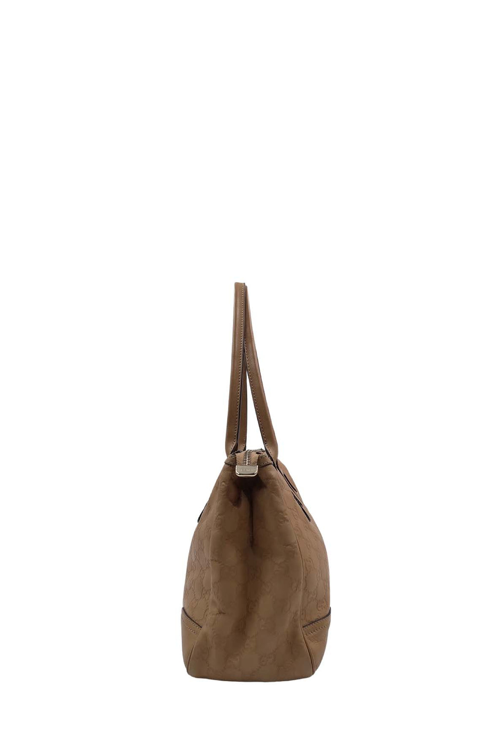 Princy Canvas Tote Brown