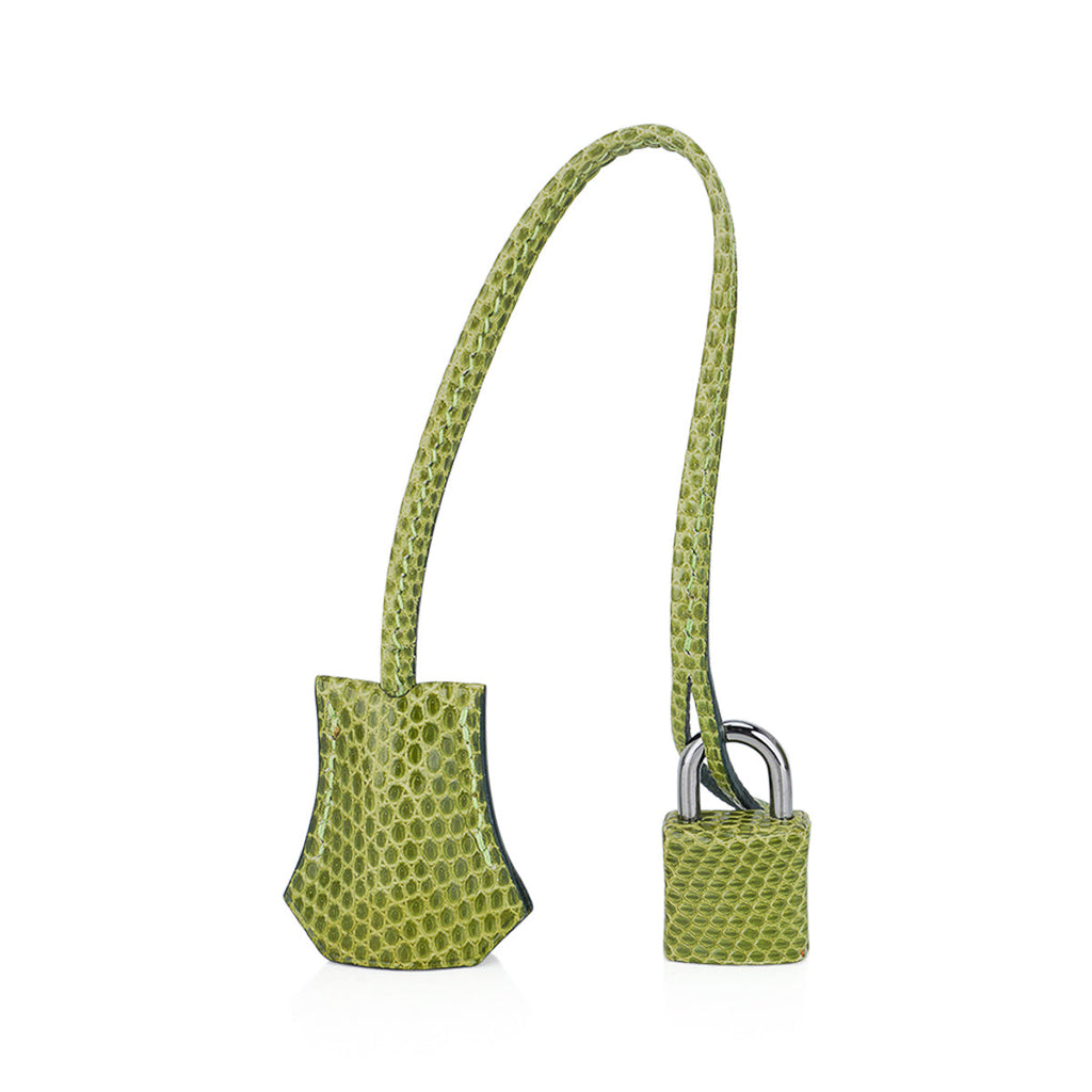 Hermes Limited Edition Birkin 25 Bag Vert Anis Lizard with Palladium Hardware