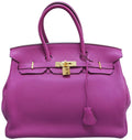 HermÃƒÆ’Ã‚Â¨s Birkin 35 Anemone Togo Tote