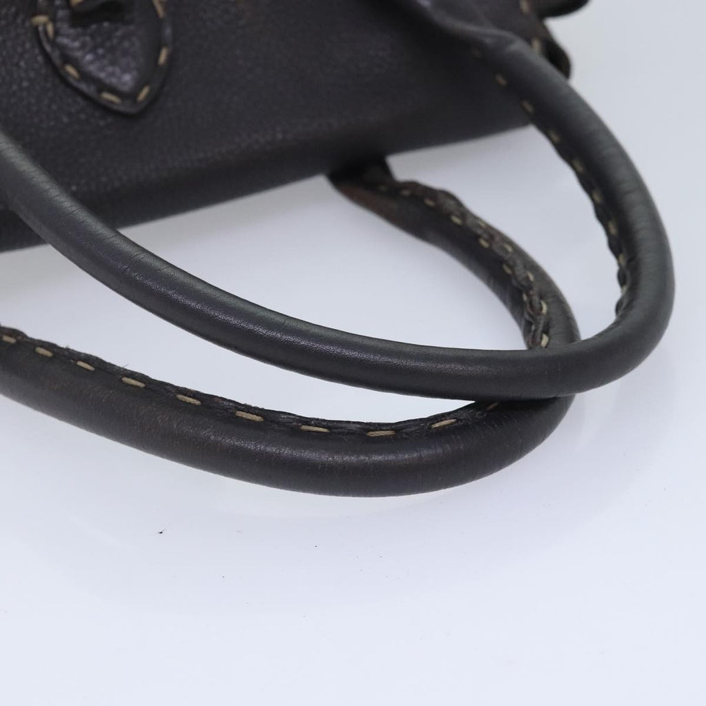 FENDI Zucca Canvas Celleria Hand Bag Brown Black 8BR486 hk1663