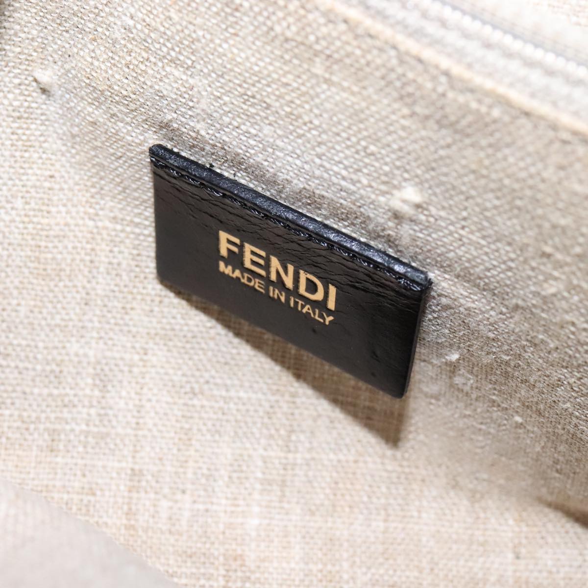 FENDI Chameleon Bag Hand Bag Canvas 2way Beige hk1927