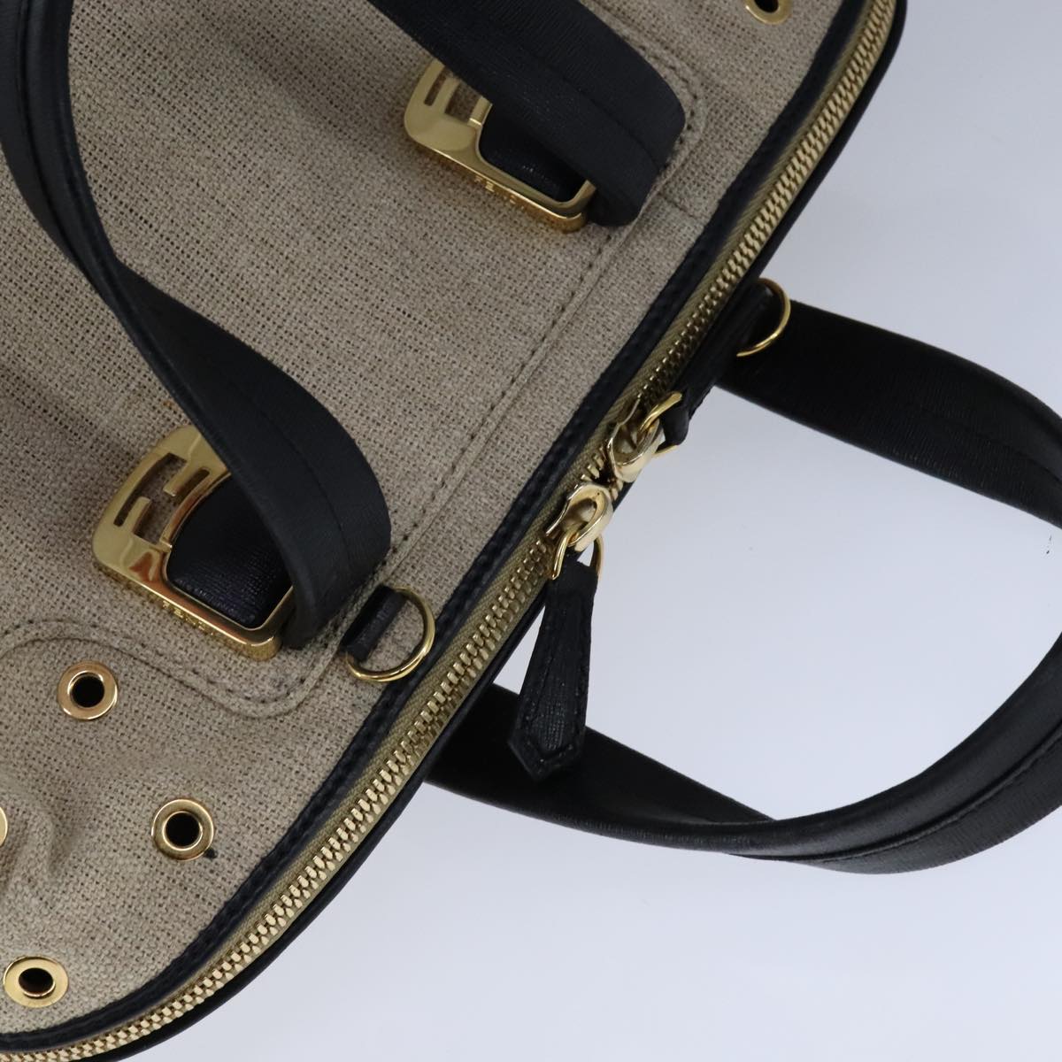 FENDI Chameleon Bag Hand Bag Canvas 2way Beige hk1927