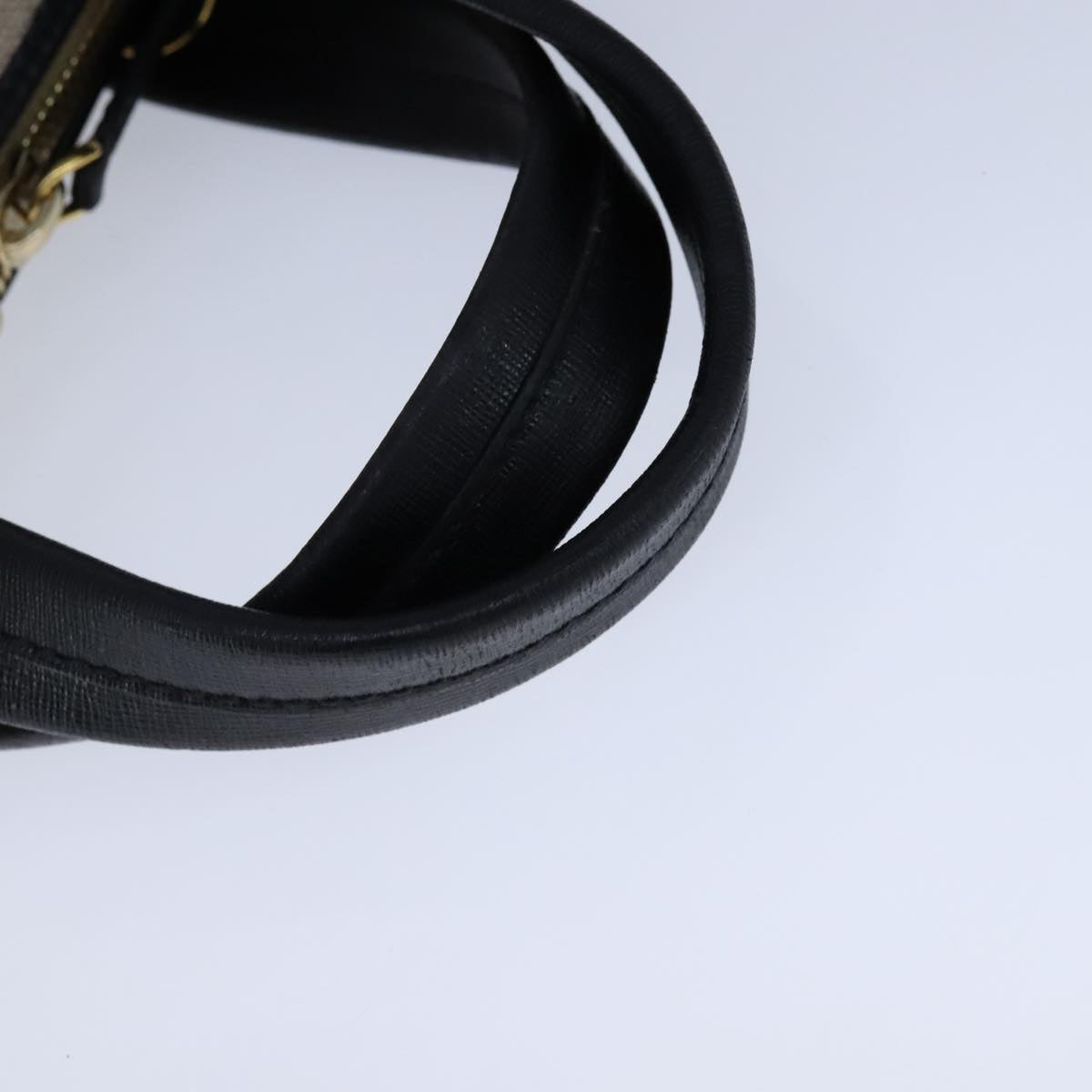 FENDI Chameleon Bag Hand Bag Canvas 2way Beige hk1927