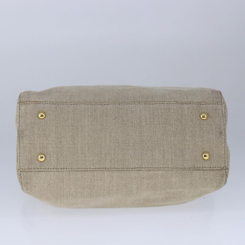 FENDI Chameleon Bag Hand Bag Canvas 2way Beige hk1927
