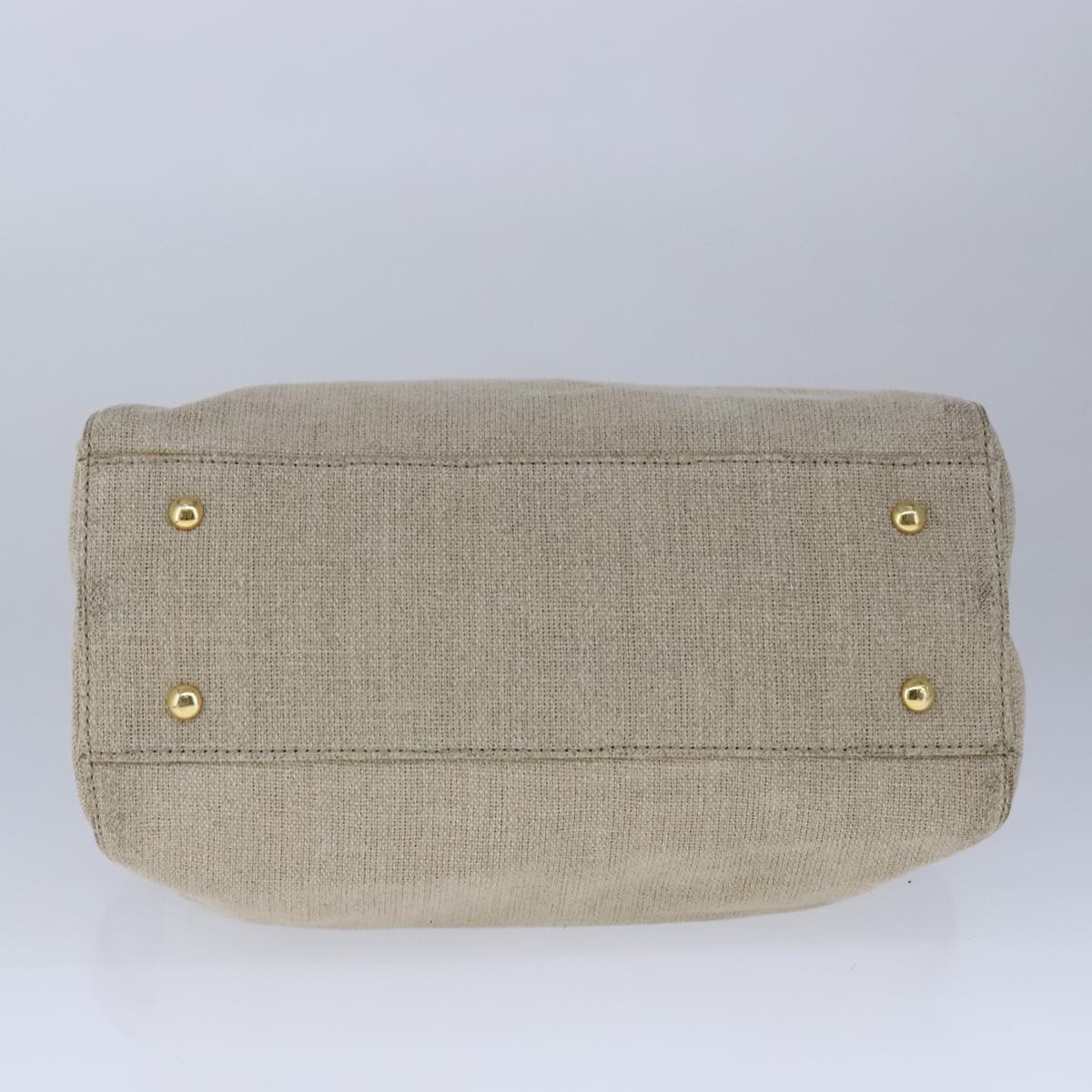 FENDI Chameleon Bag Hand Bag Canvas 2way Beige hk1927