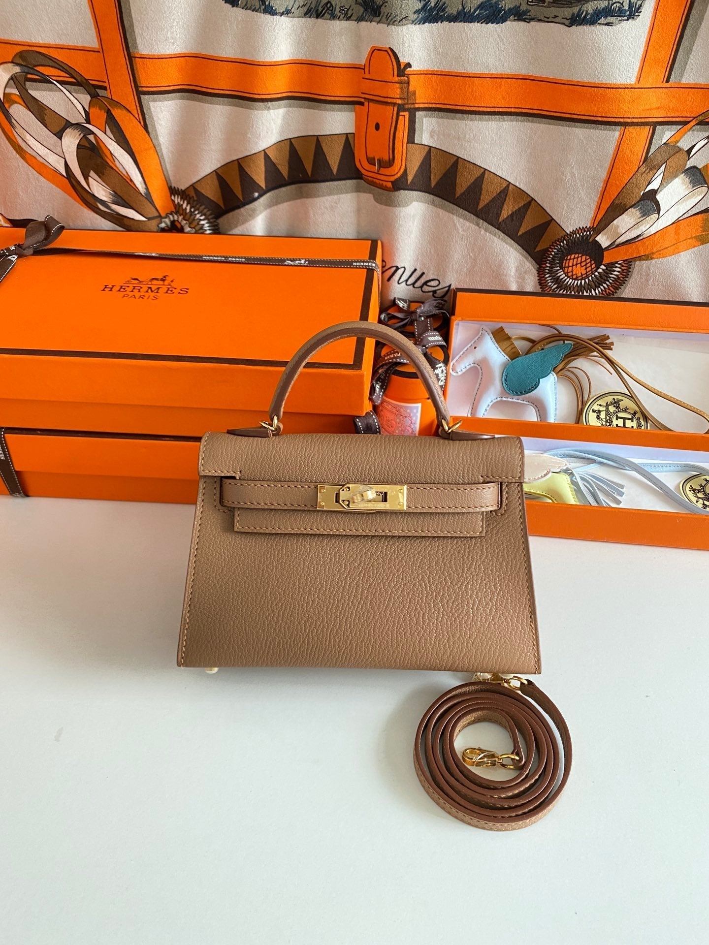 ELE- Fashion New Arrival Bag - HMS - 051