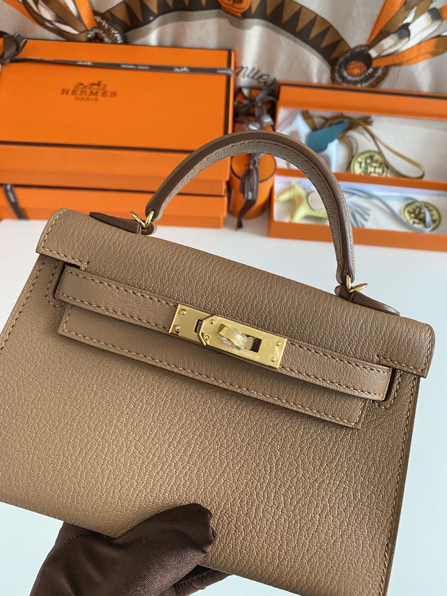 ELE- Fashion New Arrival Bag - HMS - 051