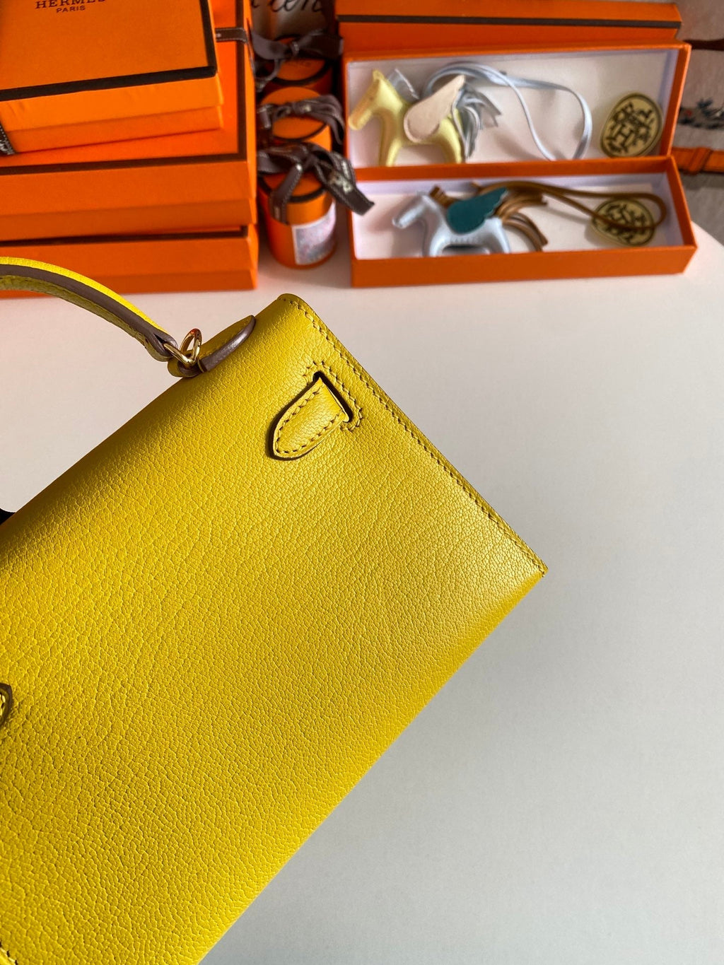 ELE- Fashion New Arrival Bag - HMS - 046