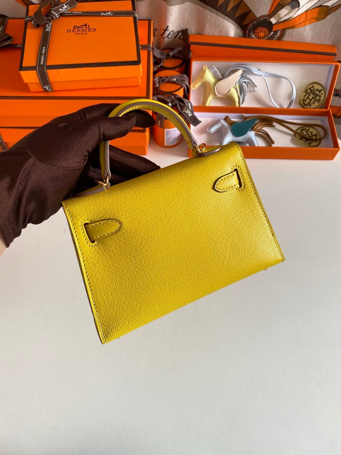 ELE- Fashion New Arrival Bag - HMS - 046