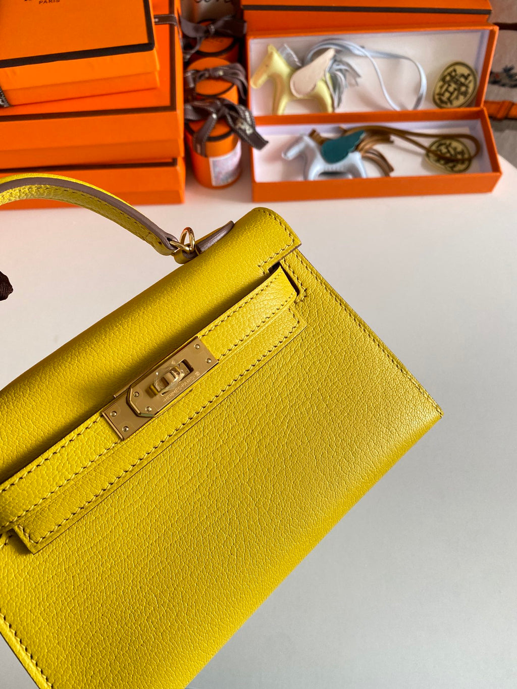 ELE- Fashion New Arrival Bag - HMS - 046