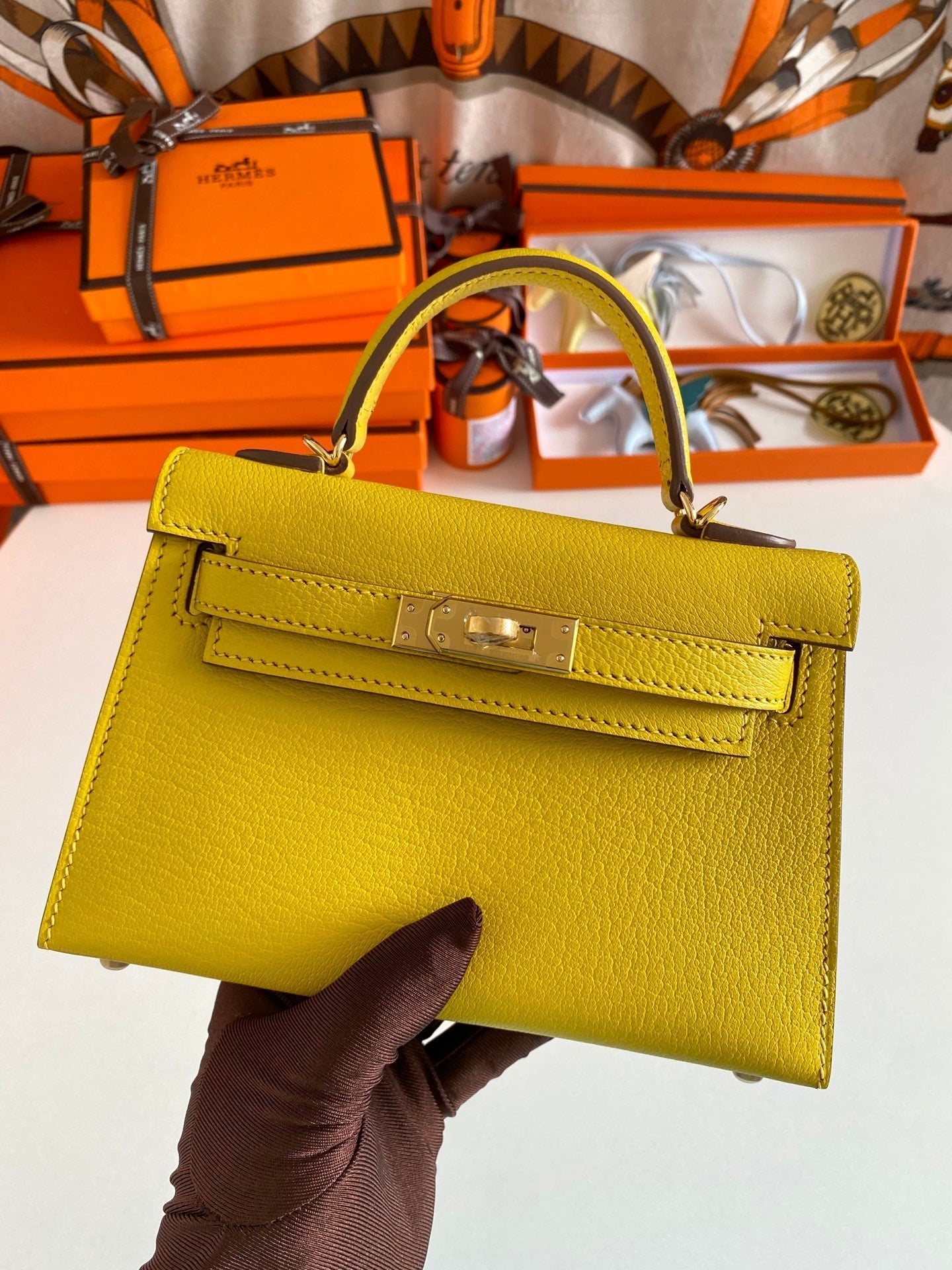 ELE- Fashion New Arrival Bag - HMS - 046