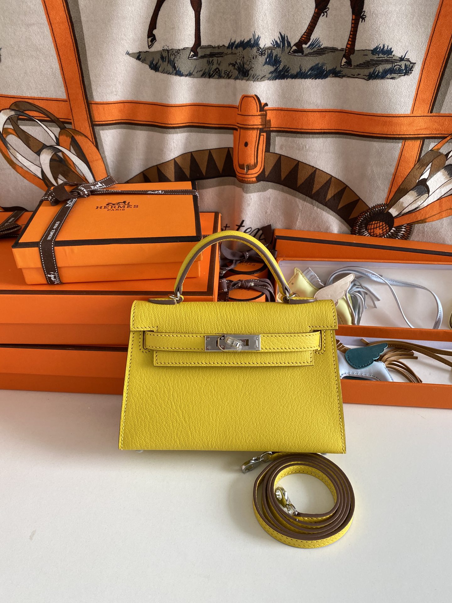 ELE- Fashion New Arrival Bag - HMS - 045