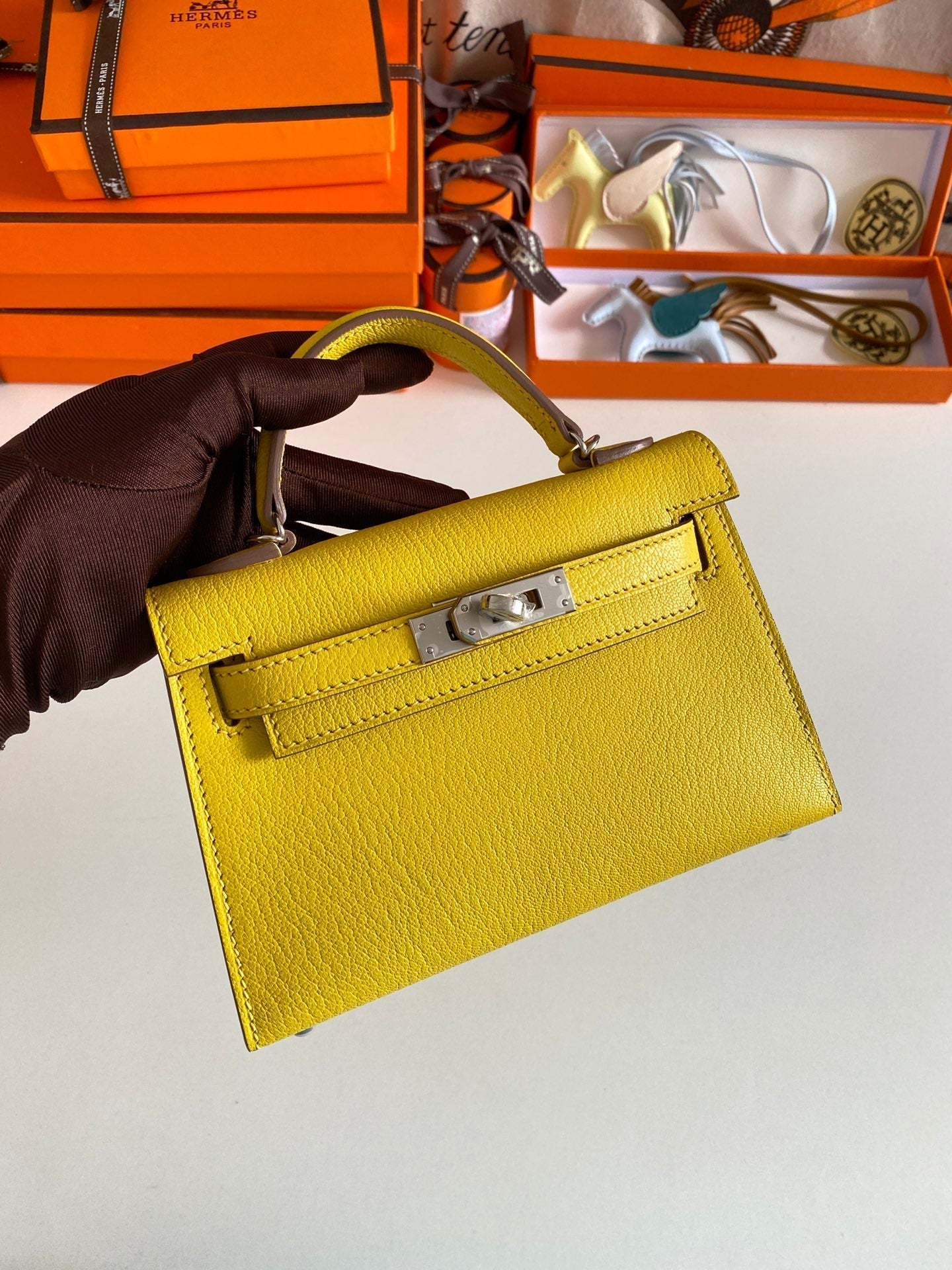 ELE- Fashion New Arrival Bag - HMS - 045