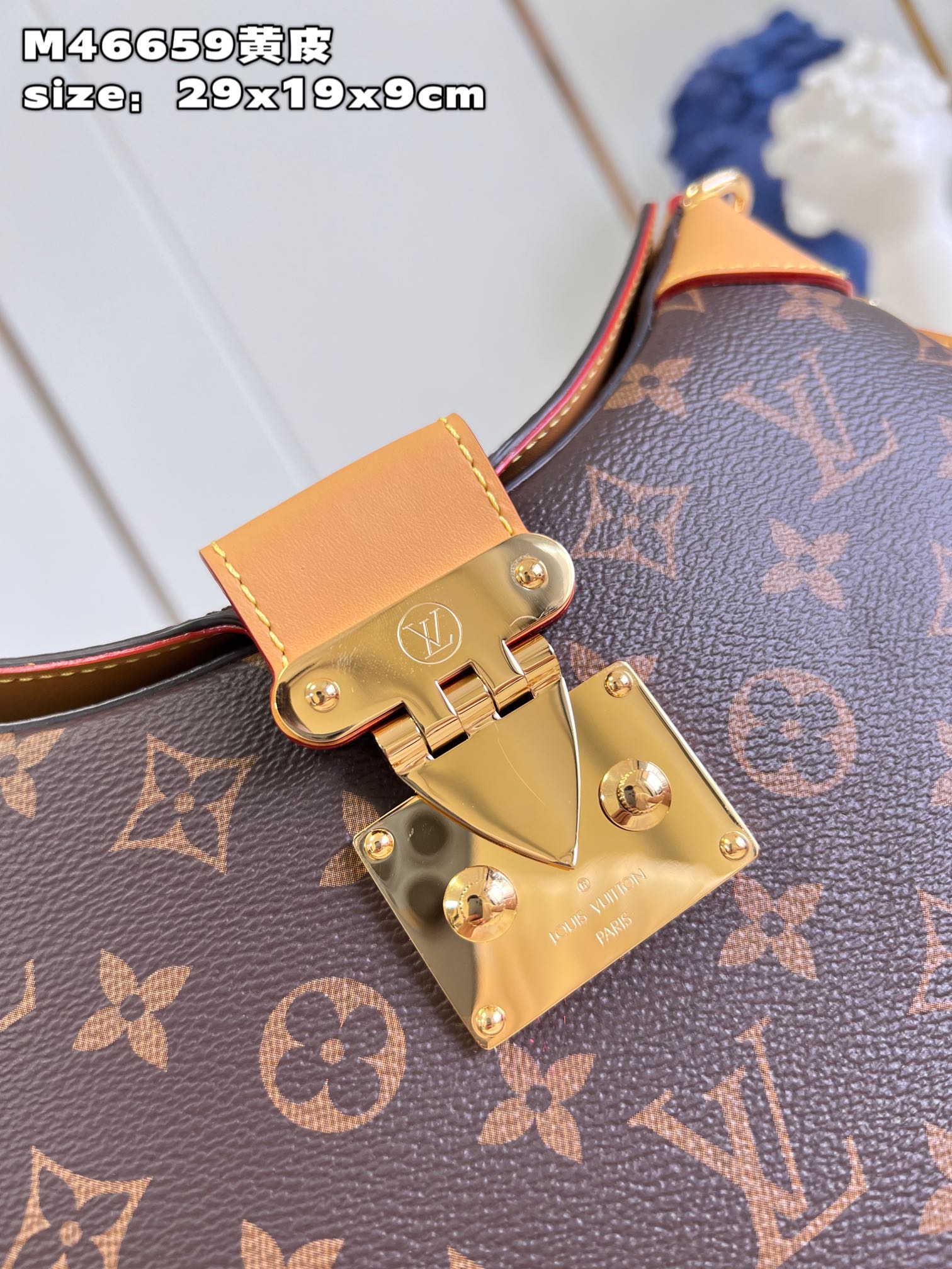 Luxury Bag - LU-V - 037