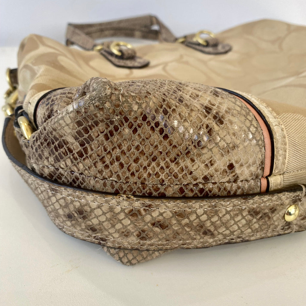 COACH Ashley Spectator Exotic Snakeskin Signature Bag