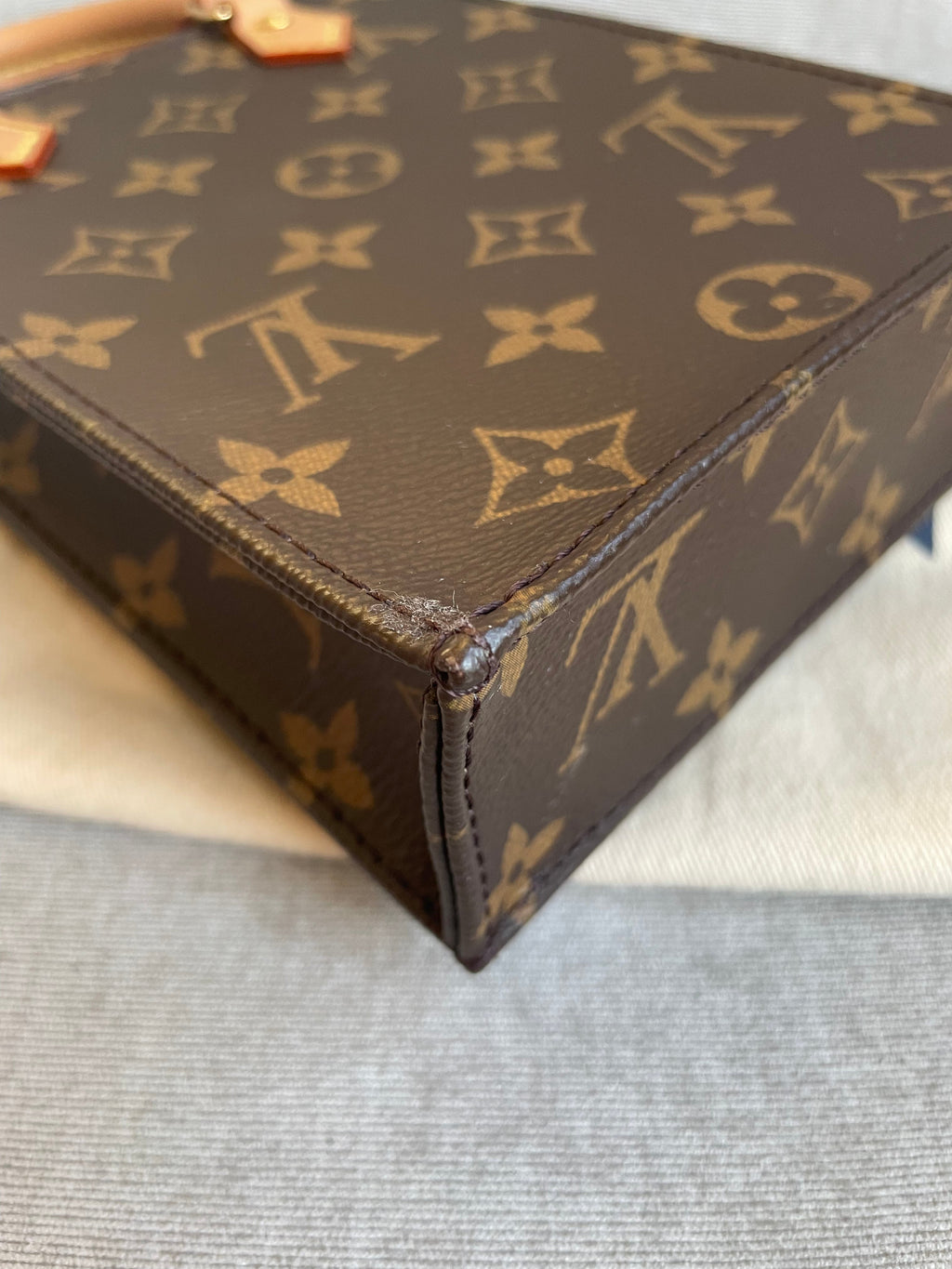 Louis Vuitton Petit Sac Plat (RRP £1,380)