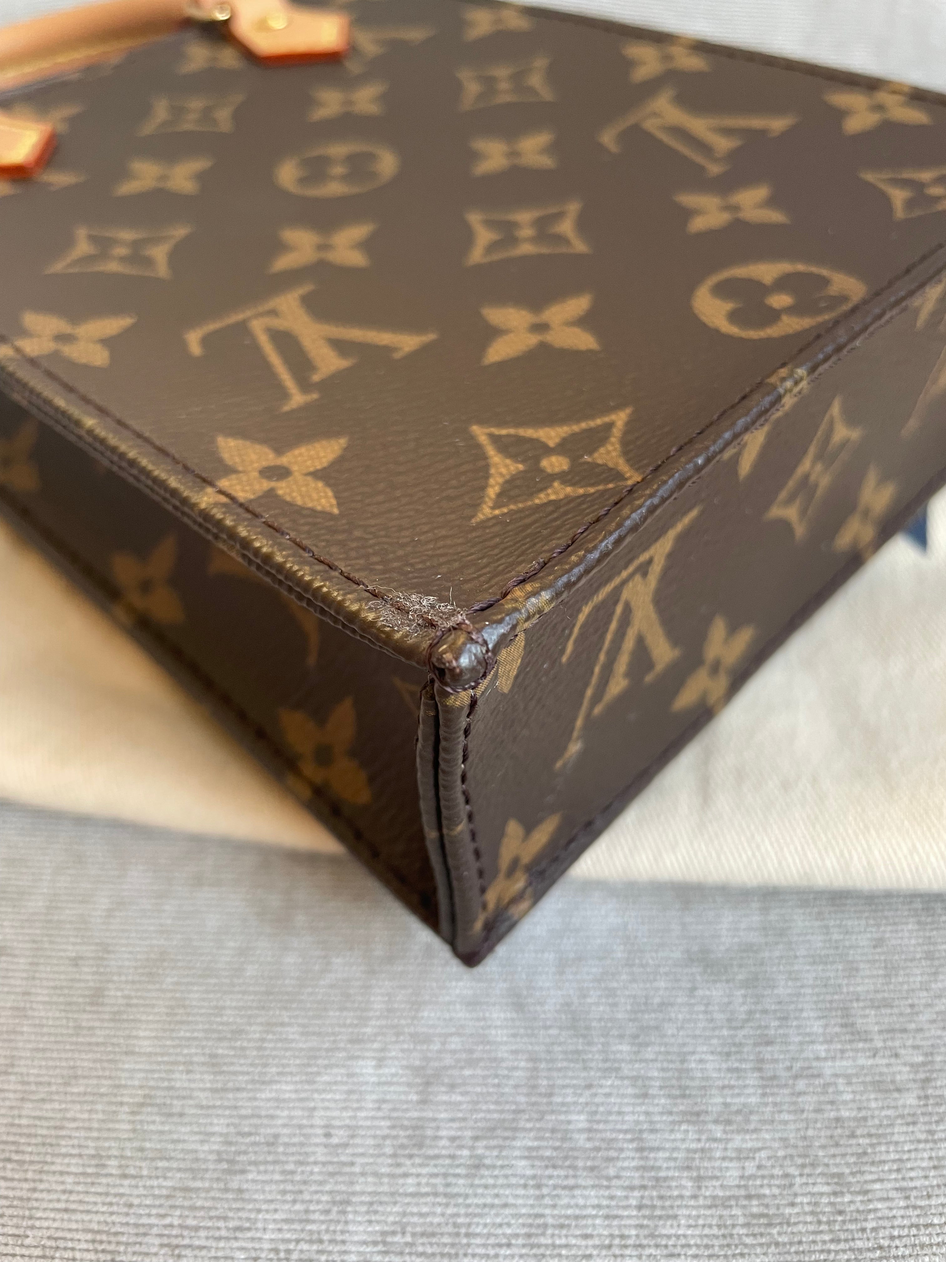 Louis Vuitton Petit Sac Plat (RRP £1,380)