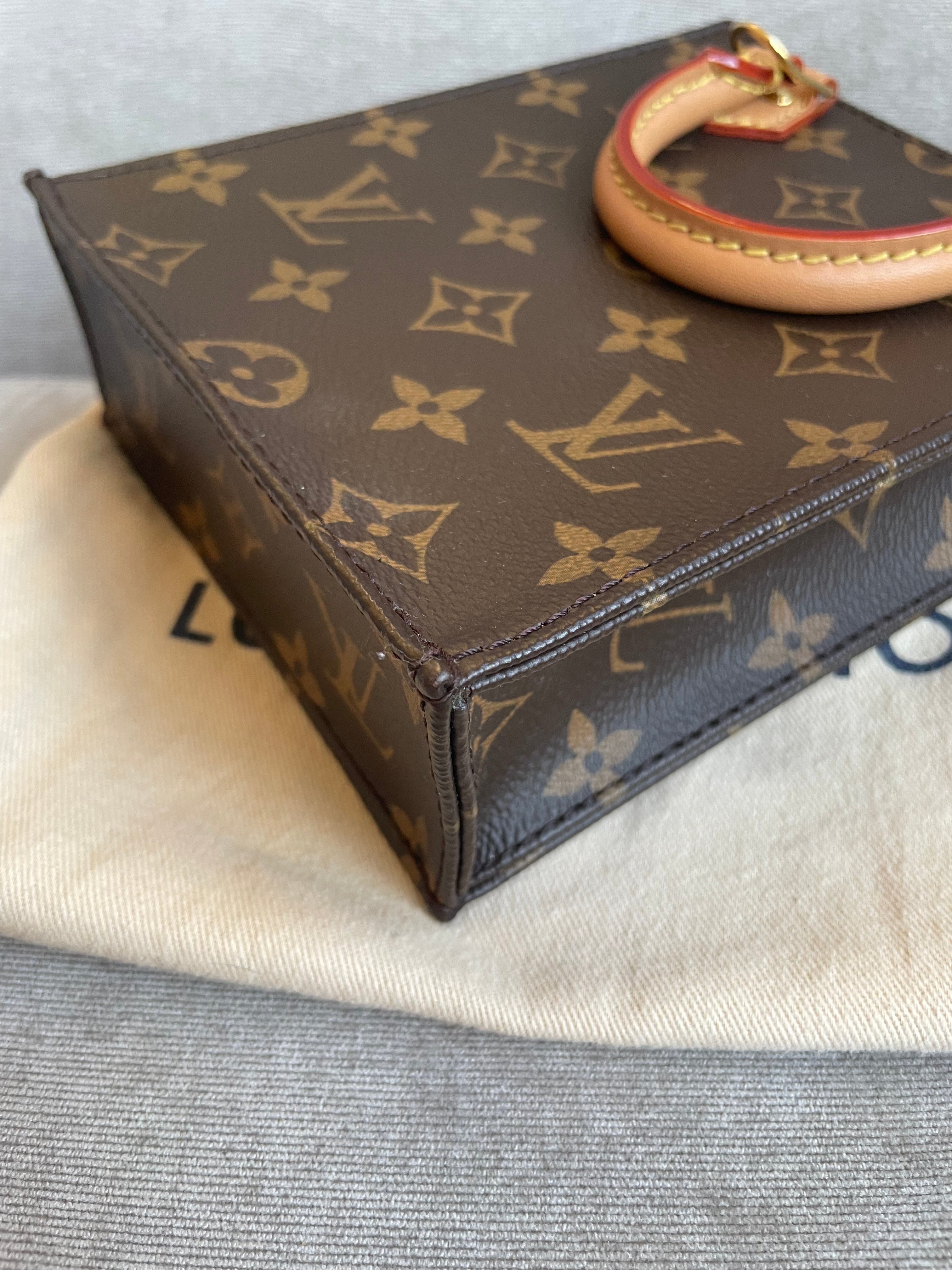 Louis Vuitton Petit Sac Plat (RRP £1,380)