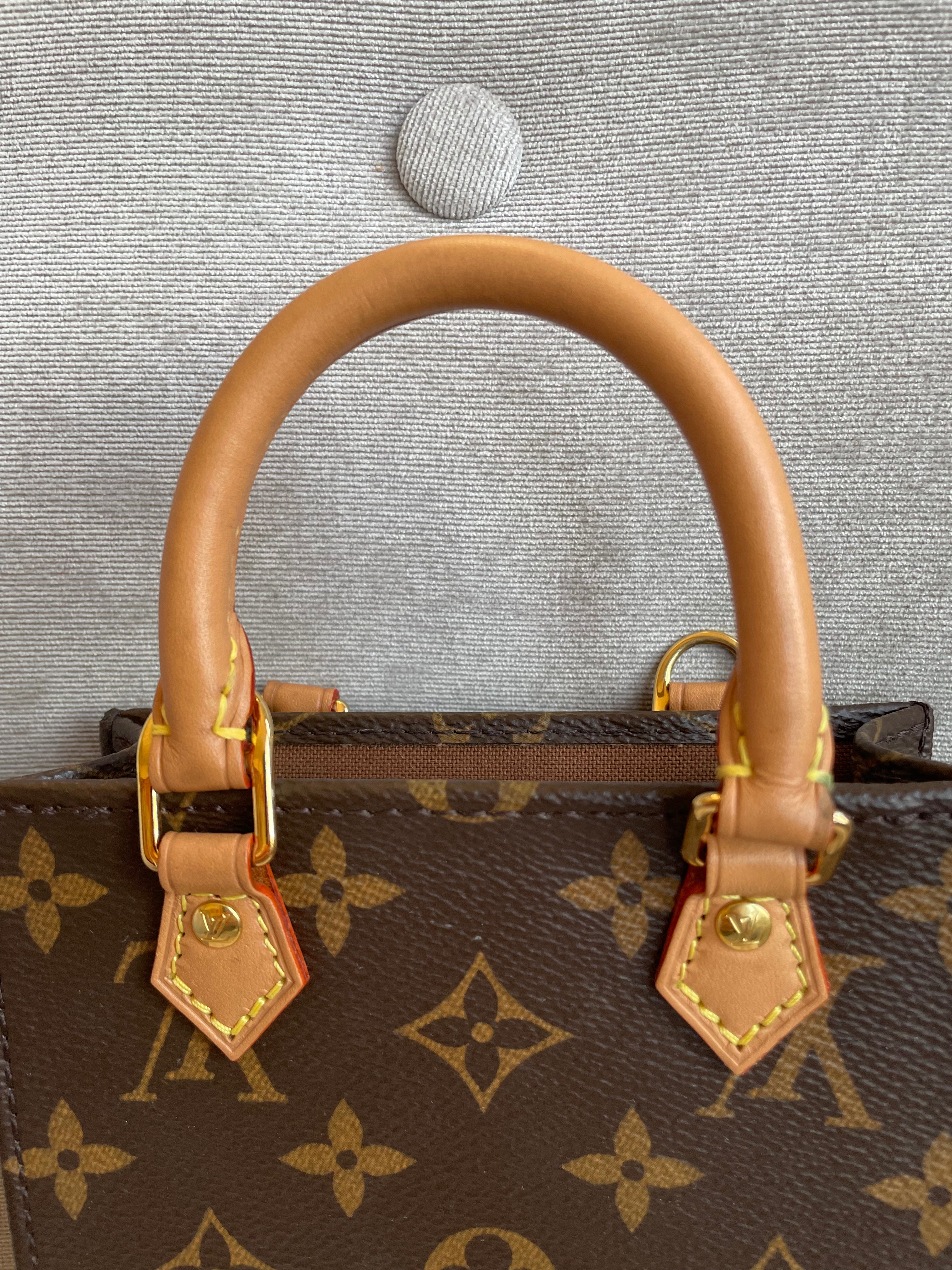 Louis Vuitton Petit Sac Plat (RRP £1,380)