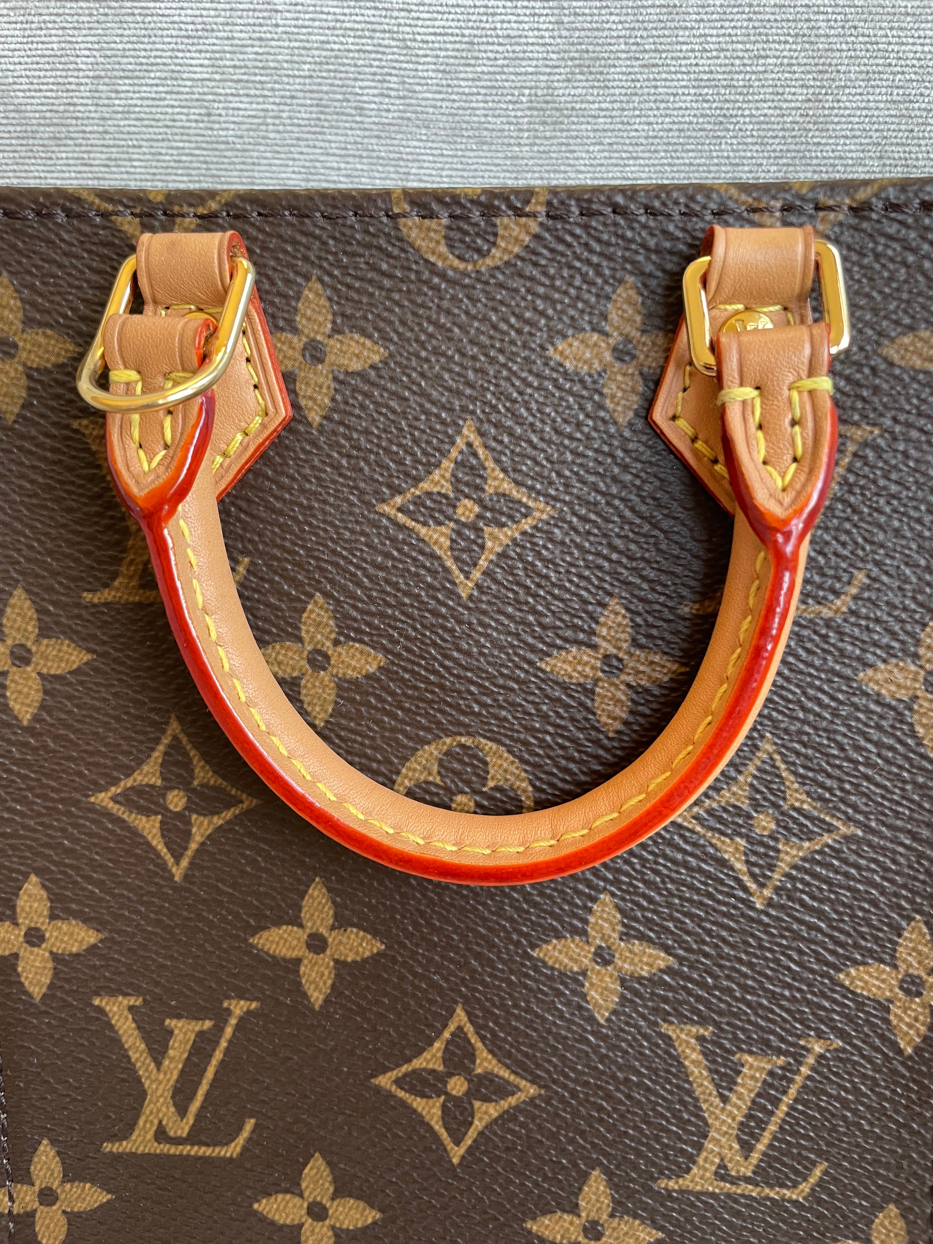 Louis Vuitton Petit Sac Plat (RRP £1,380)