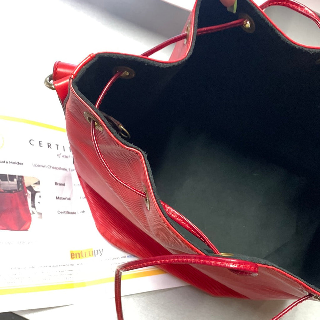 Louis Vuitton Noe Epi Hobo Bag