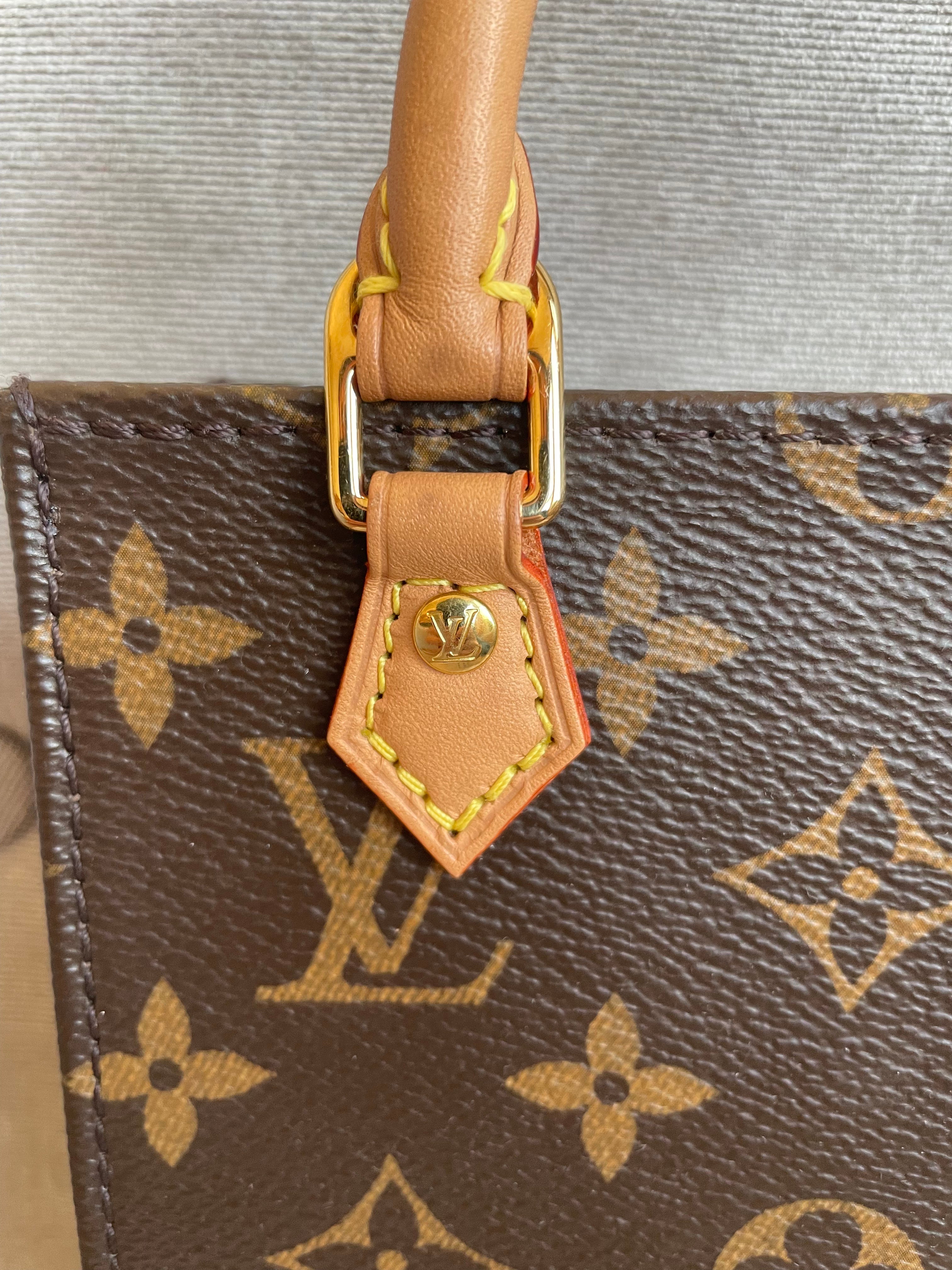 Louis Vuitton Petit Sac Plat (RRP £1,380)