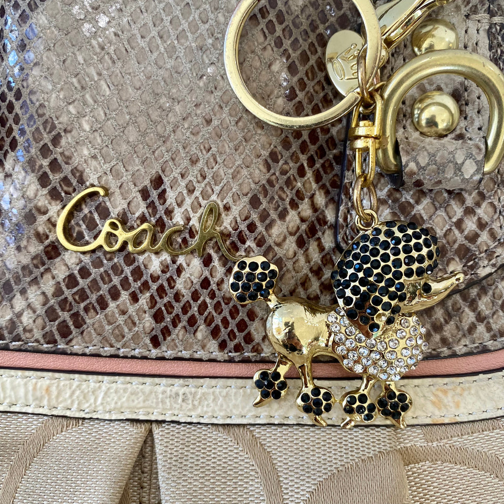 COACH Ashley Spectator Exotic Snakeskin Signature Bag