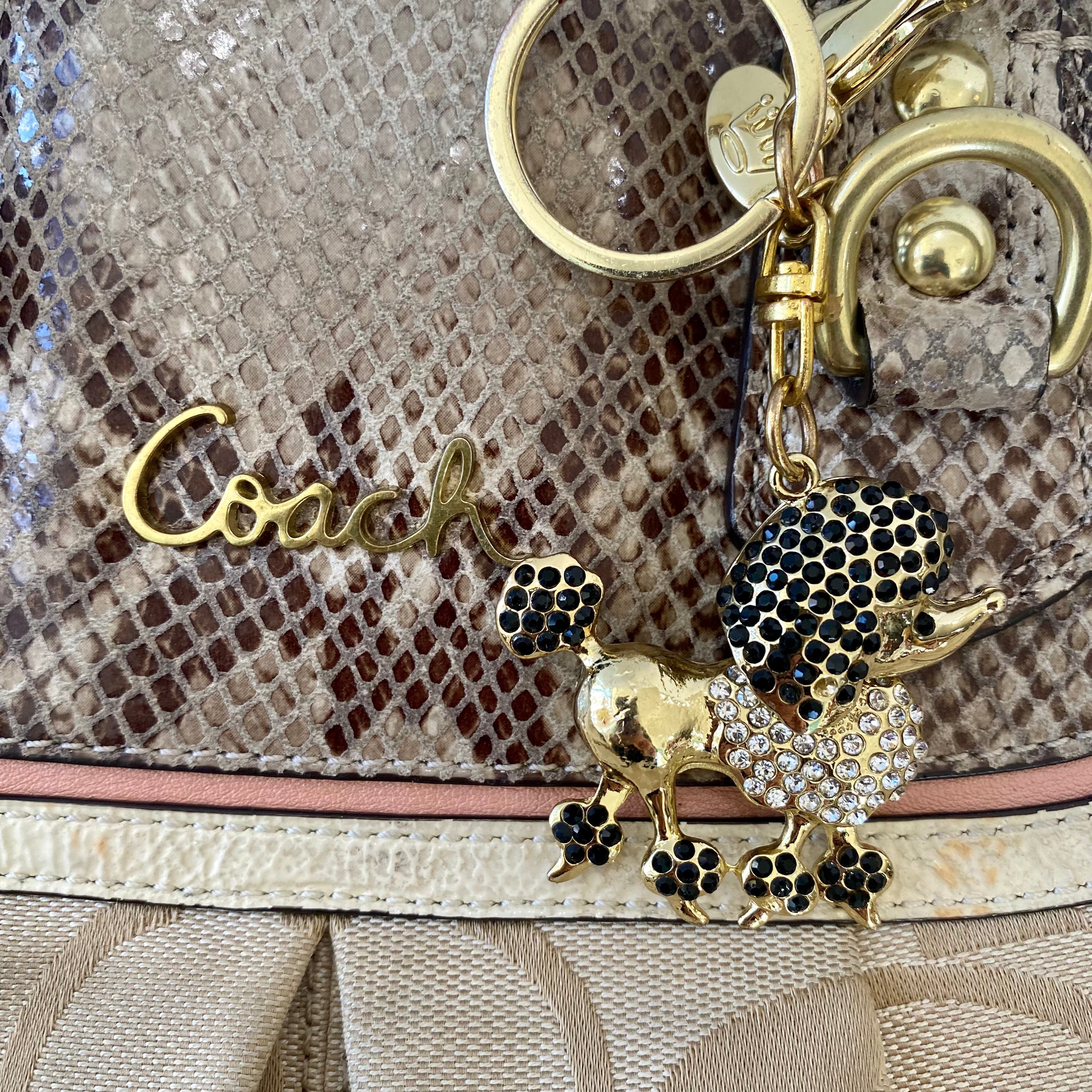 COACH Ashley Spectator Exotic Snakeskin Signature Bag