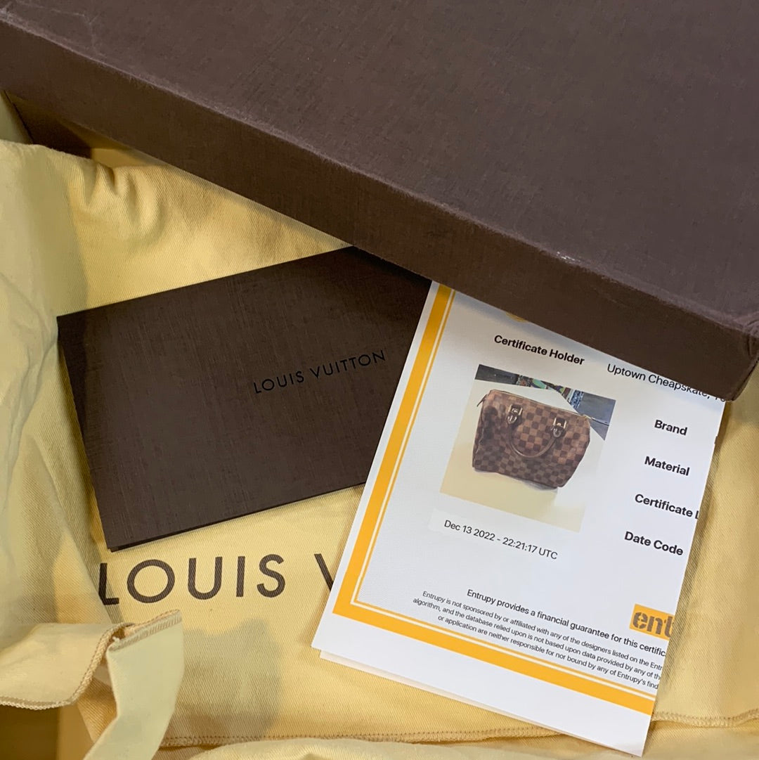 Louis Vuitton Speedy 25 Damier Ebene