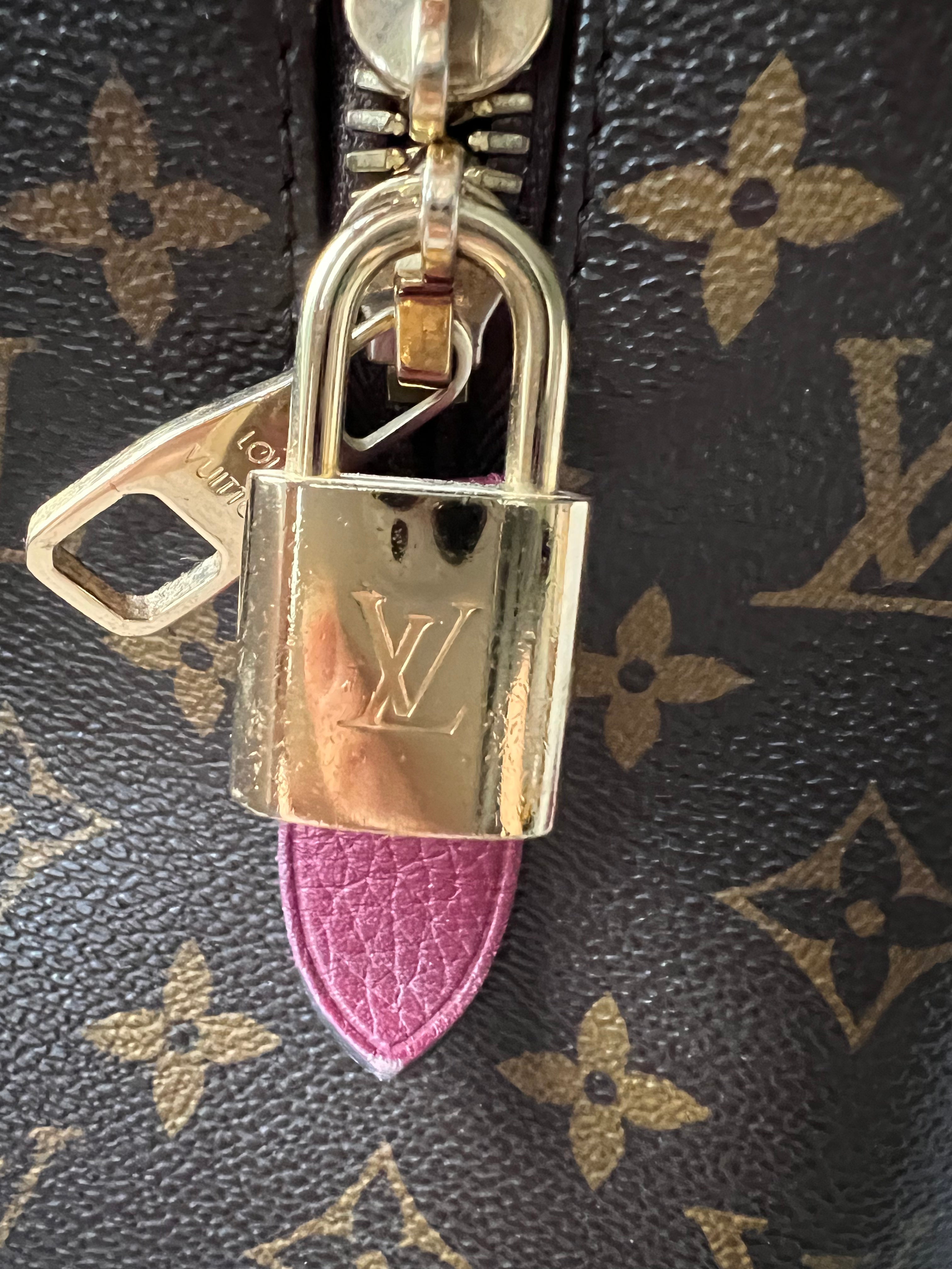 Louis Vuitton Retiro Bag Monogram and Raisin (RRP £1470)