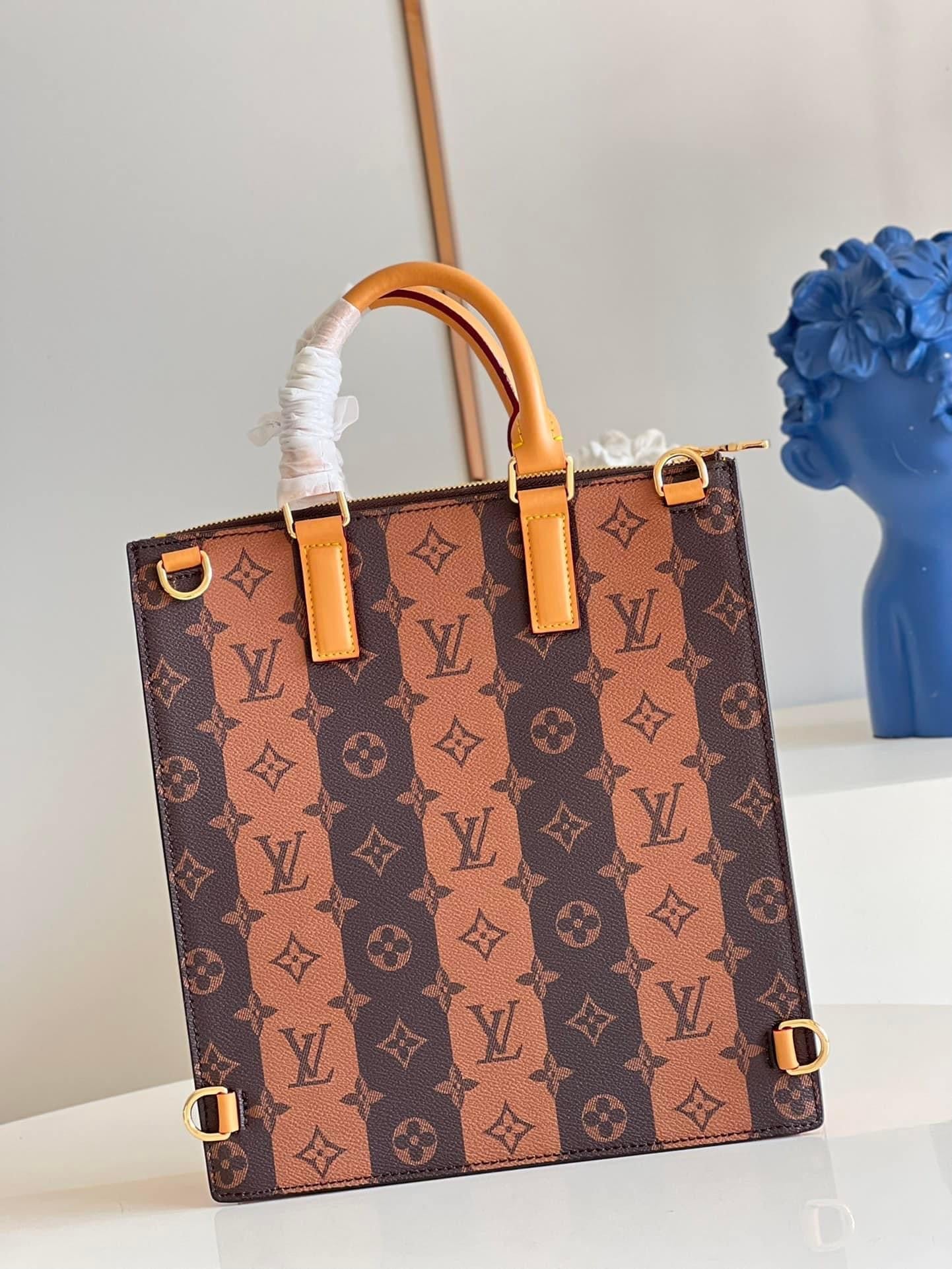Louis Vuitton Sac Plate Cross Bag