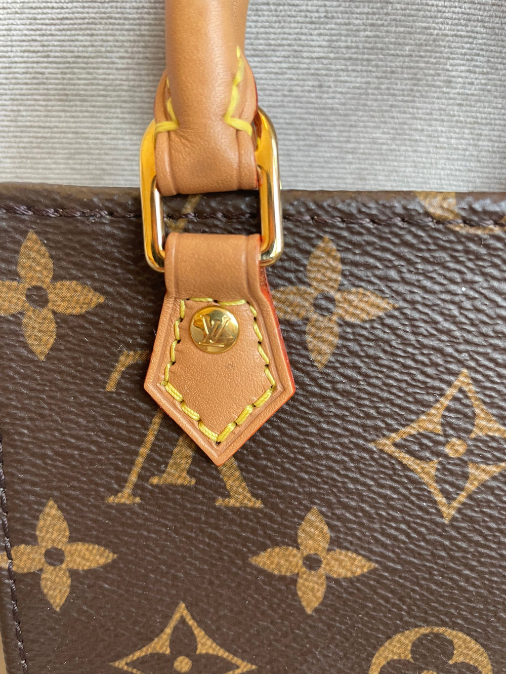 Louis Vuitton Petit Sac Plat (RRP £1,380)