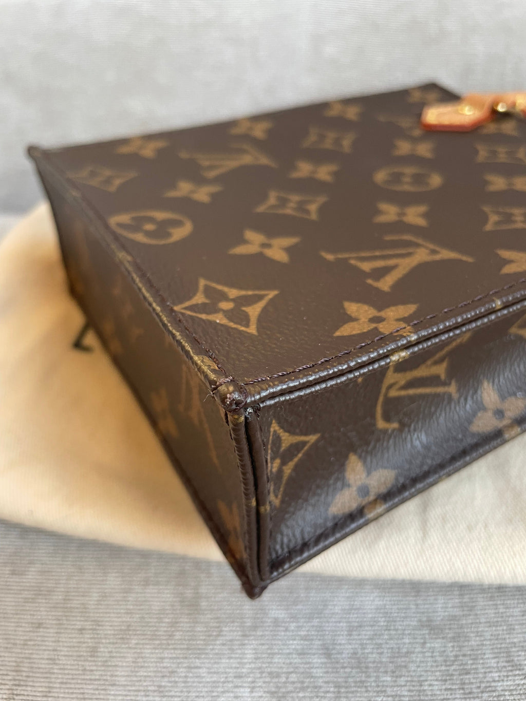 Louis Vuitton Petit Sac Plat (RRP £1,380)