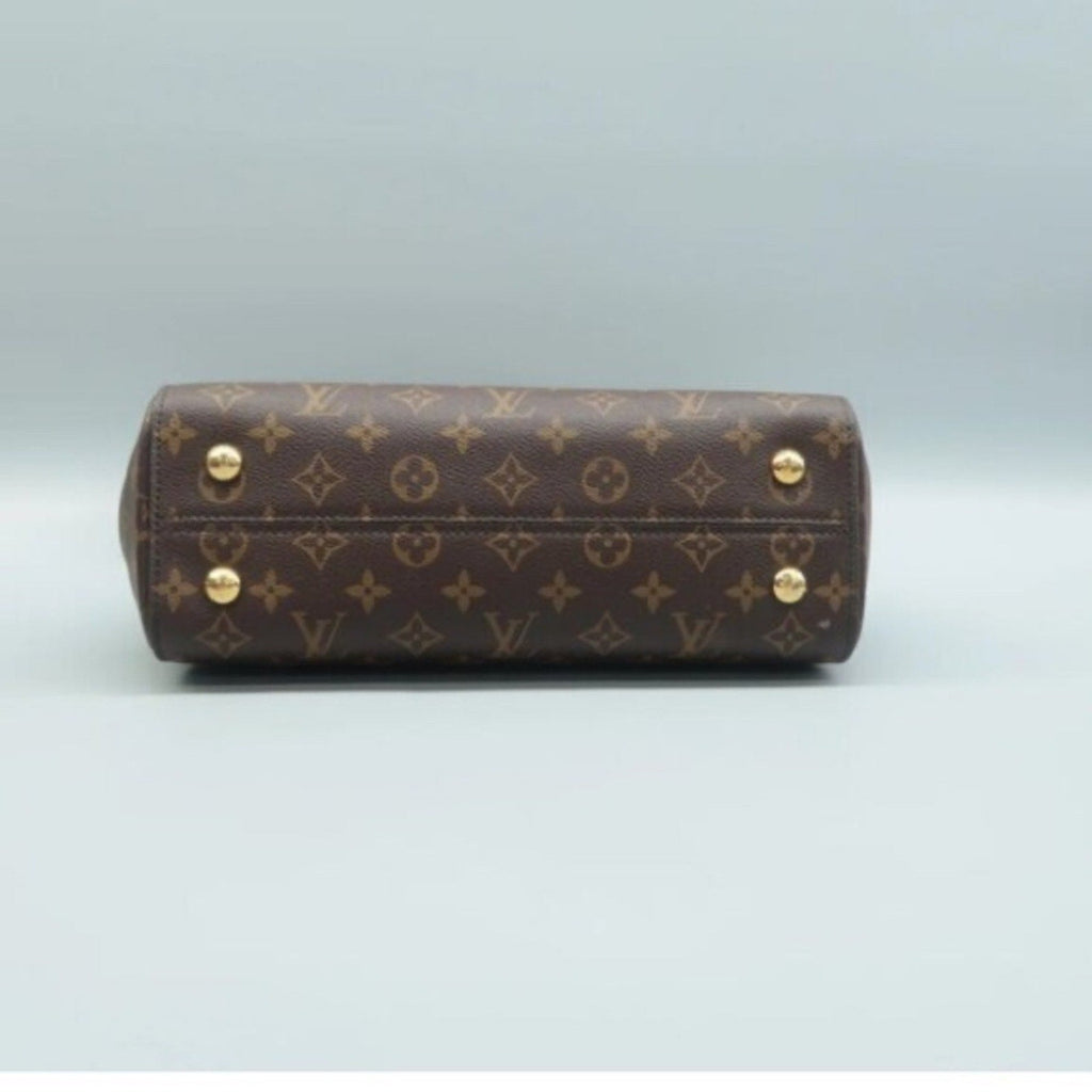 Louis Vuitton Cluny Brown Monogram Canvas Satchel